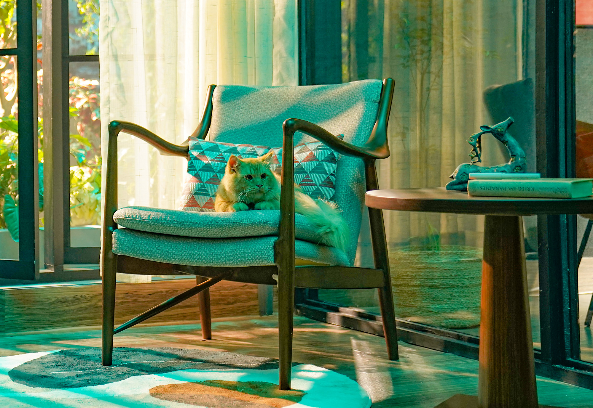 Curves ahead: Sofa shapes taking over 2024 living rooms