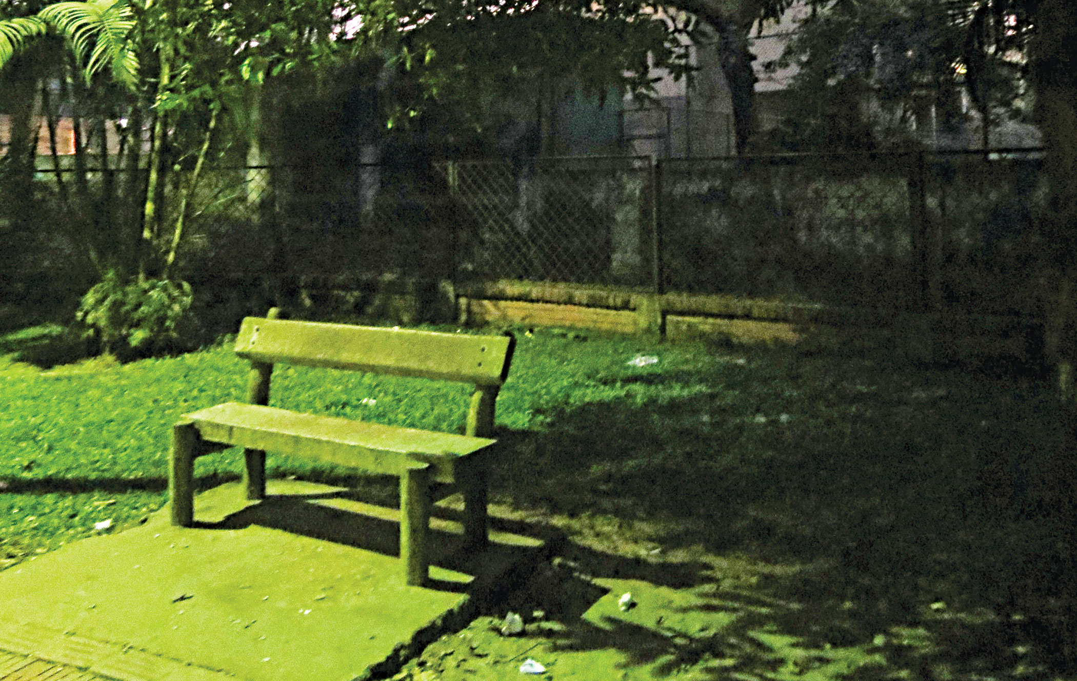 city-park.jpg