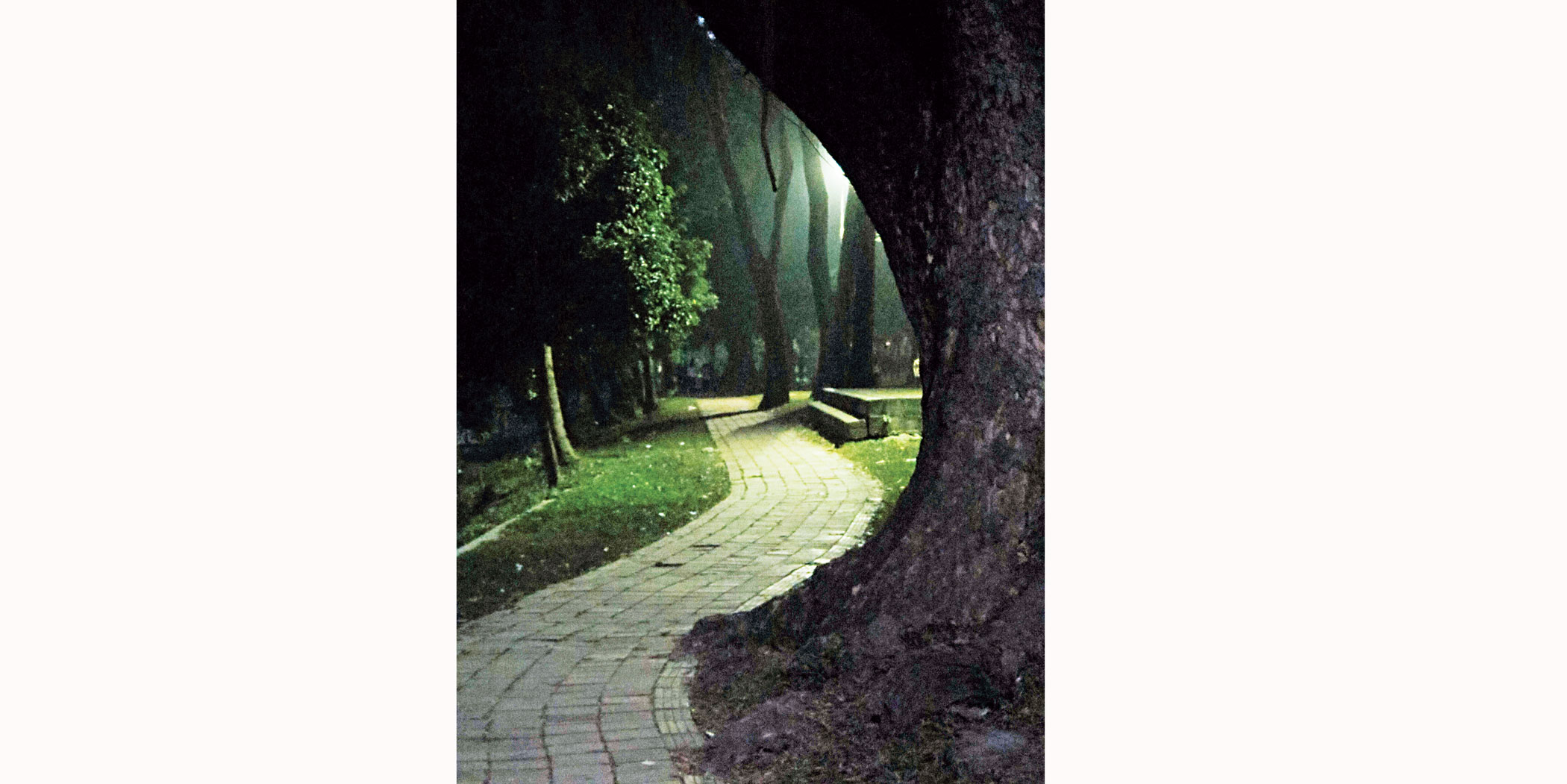 city-park2.jpg