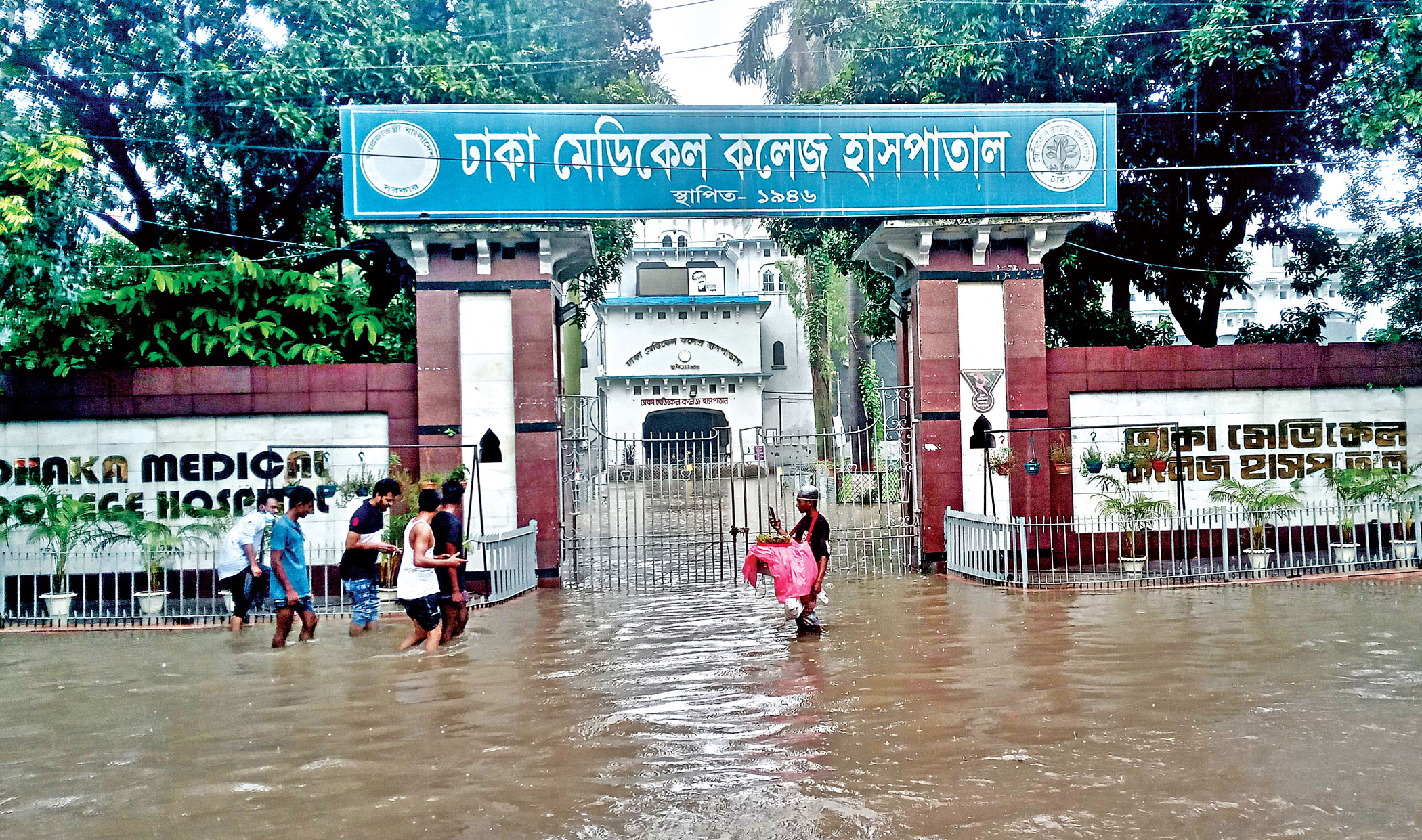 waterlogging6.jpg