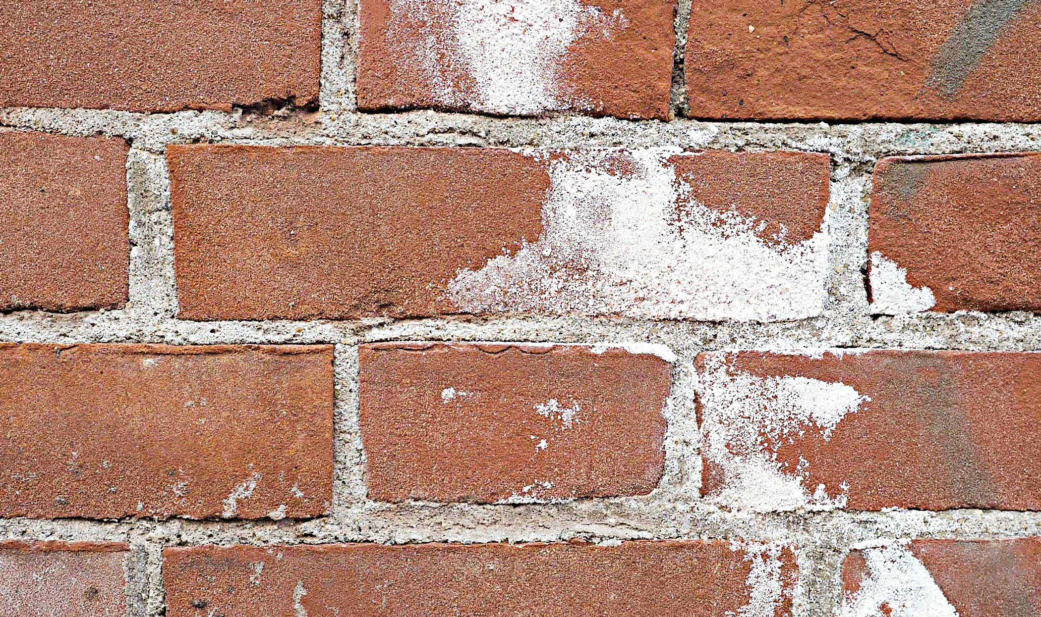 wall.jpg