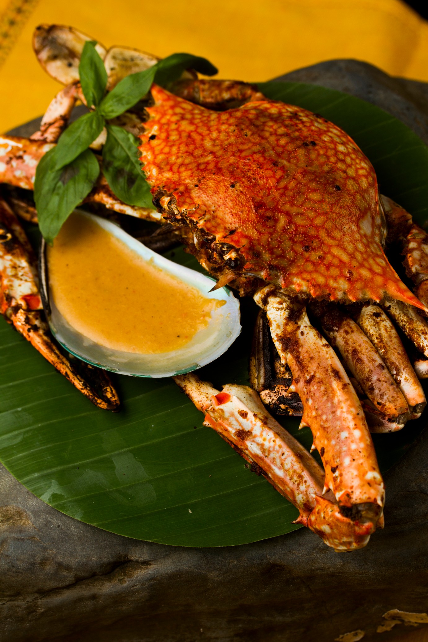 crab_salad      Catch of the day: Seafood recipes you will love
