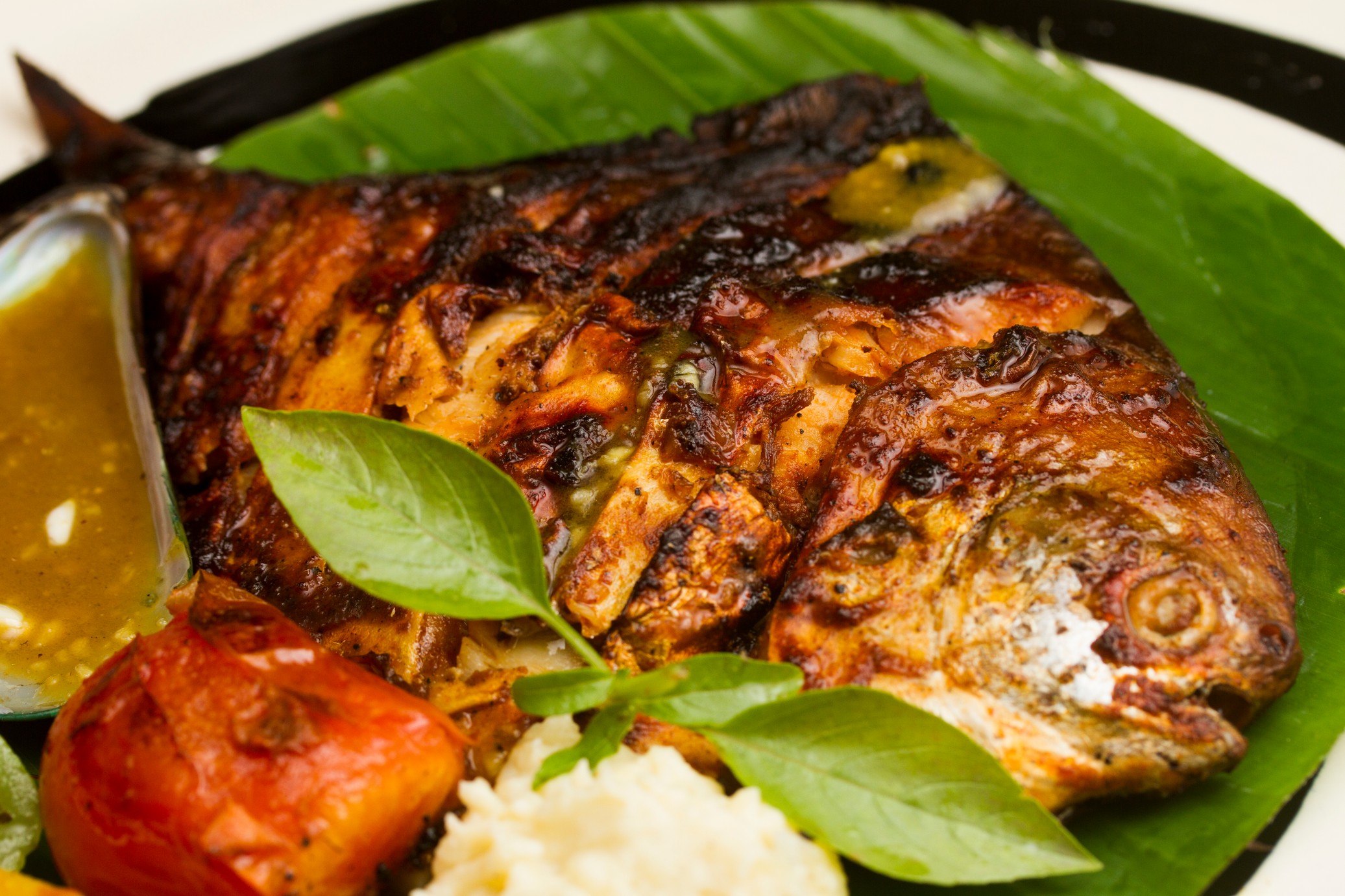 grilled_salmon     Catch of the day: Seafood recipes you will love