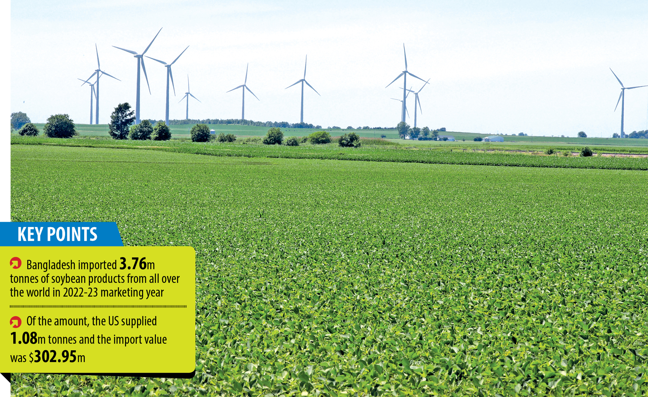 Bangladesh’s dependence on US soybeans growing