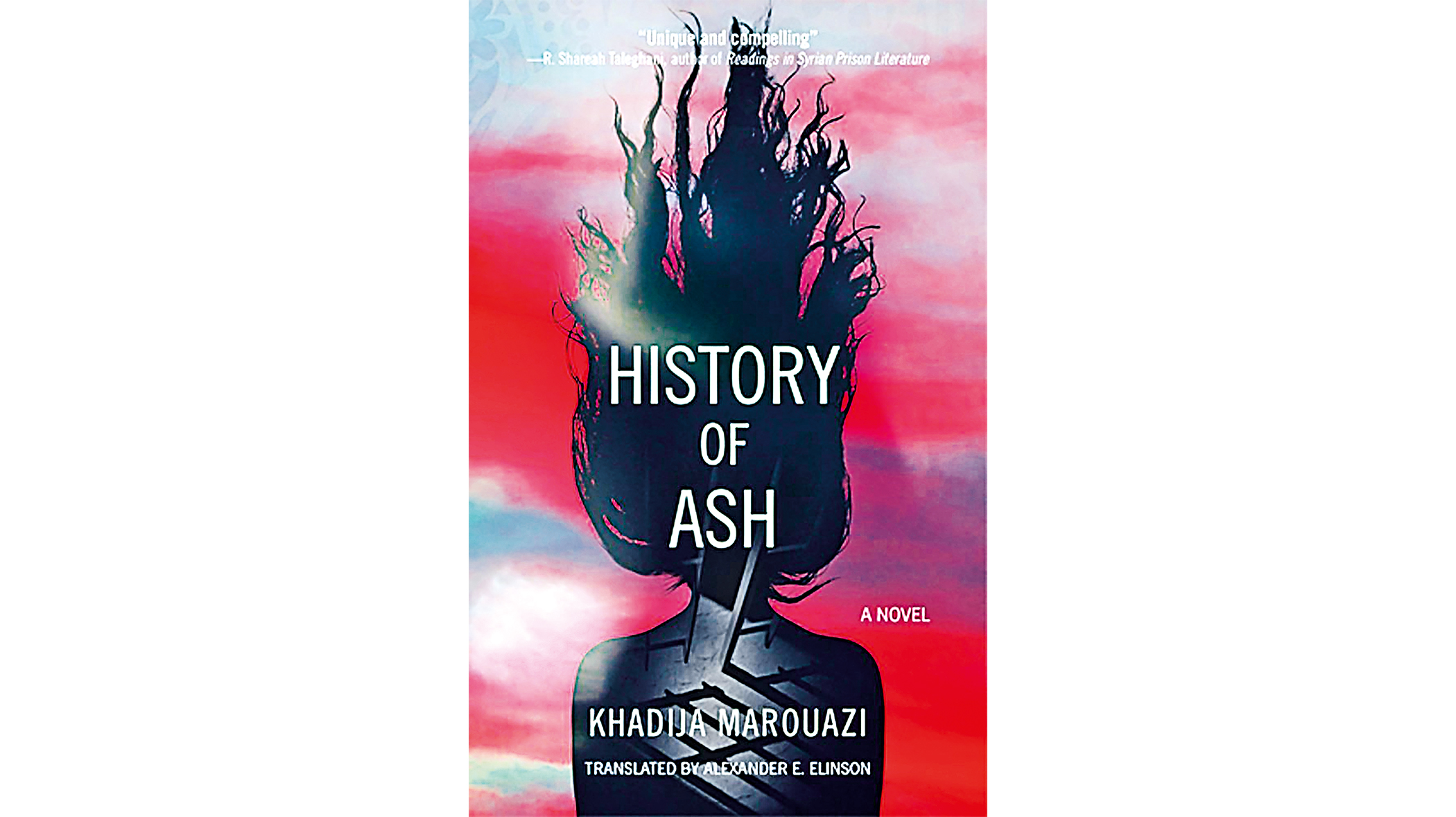 history-of-ash-a-novel.jpg