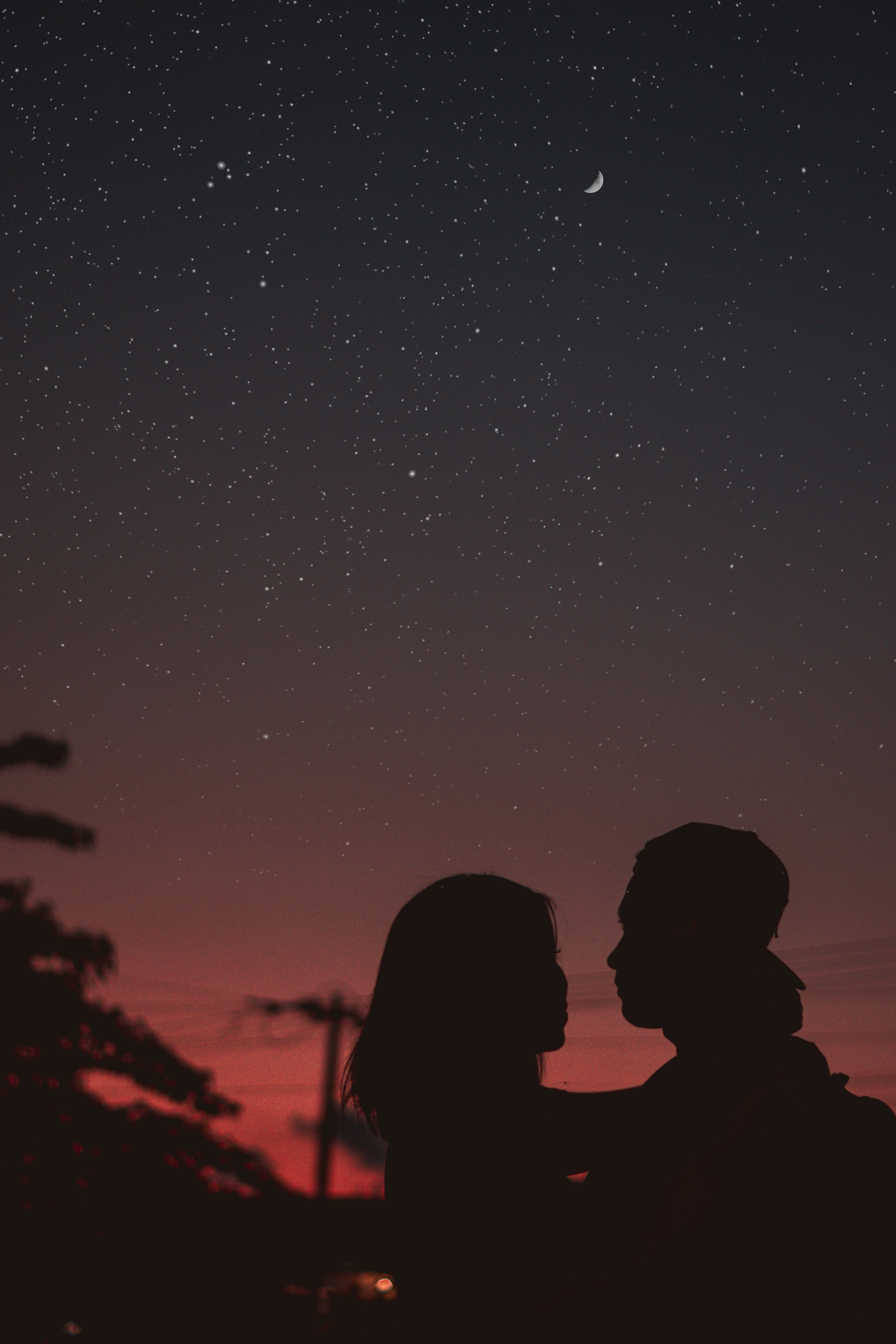 Butterflies or blindness? Decoding love at first sight