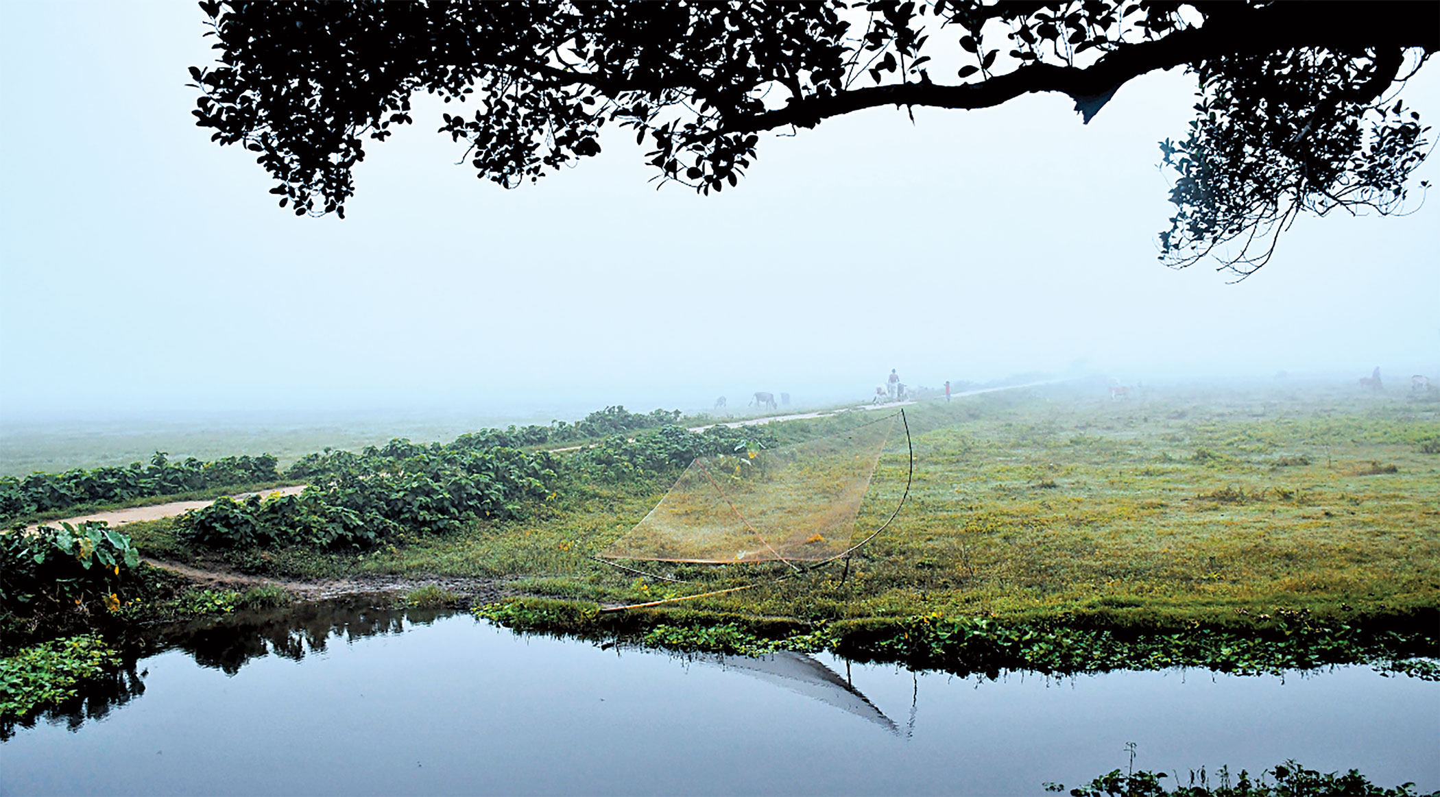 ‘Twas Full Moon That Night