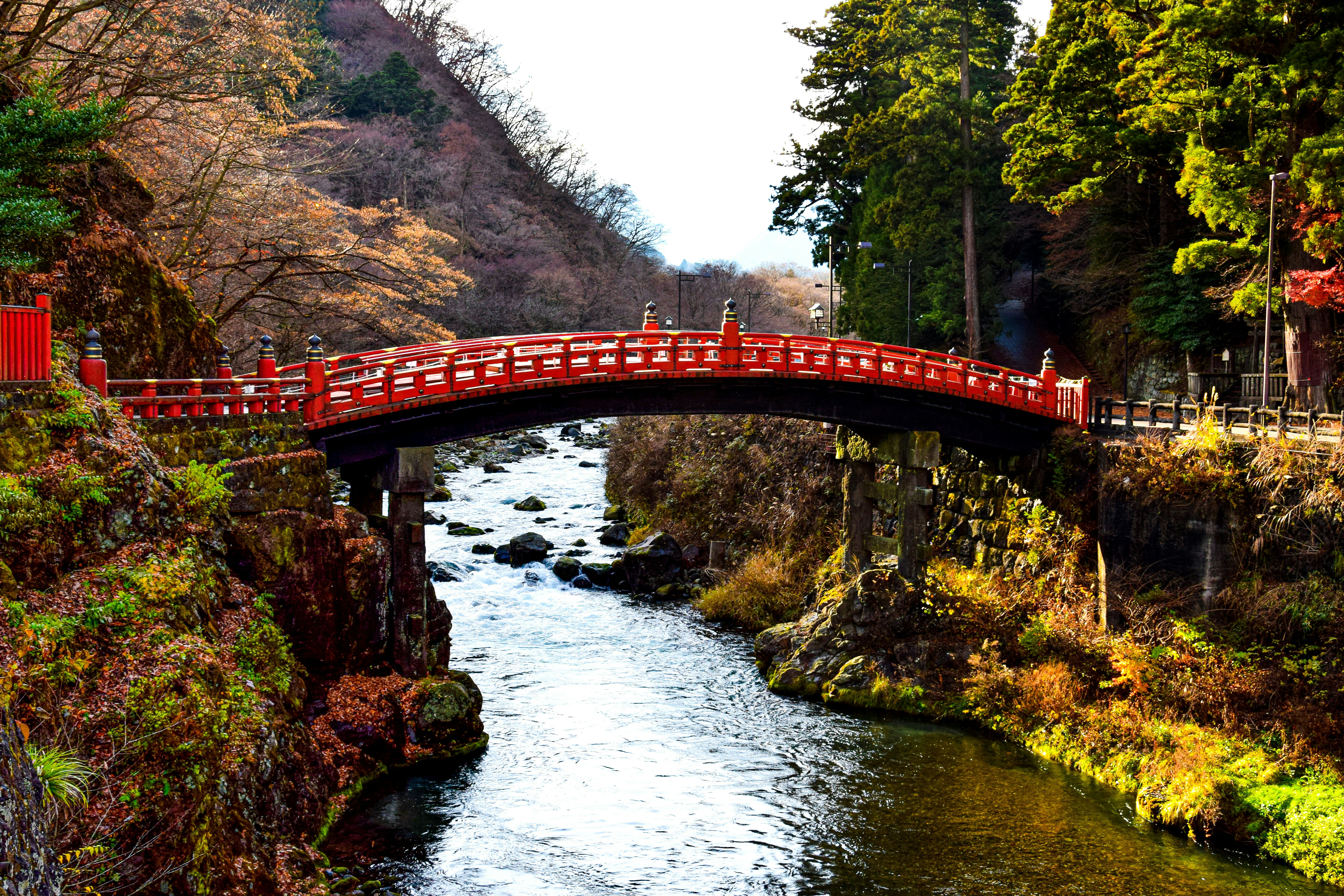 Japan 5 places in Asia to experience autumn like never before (No, really)