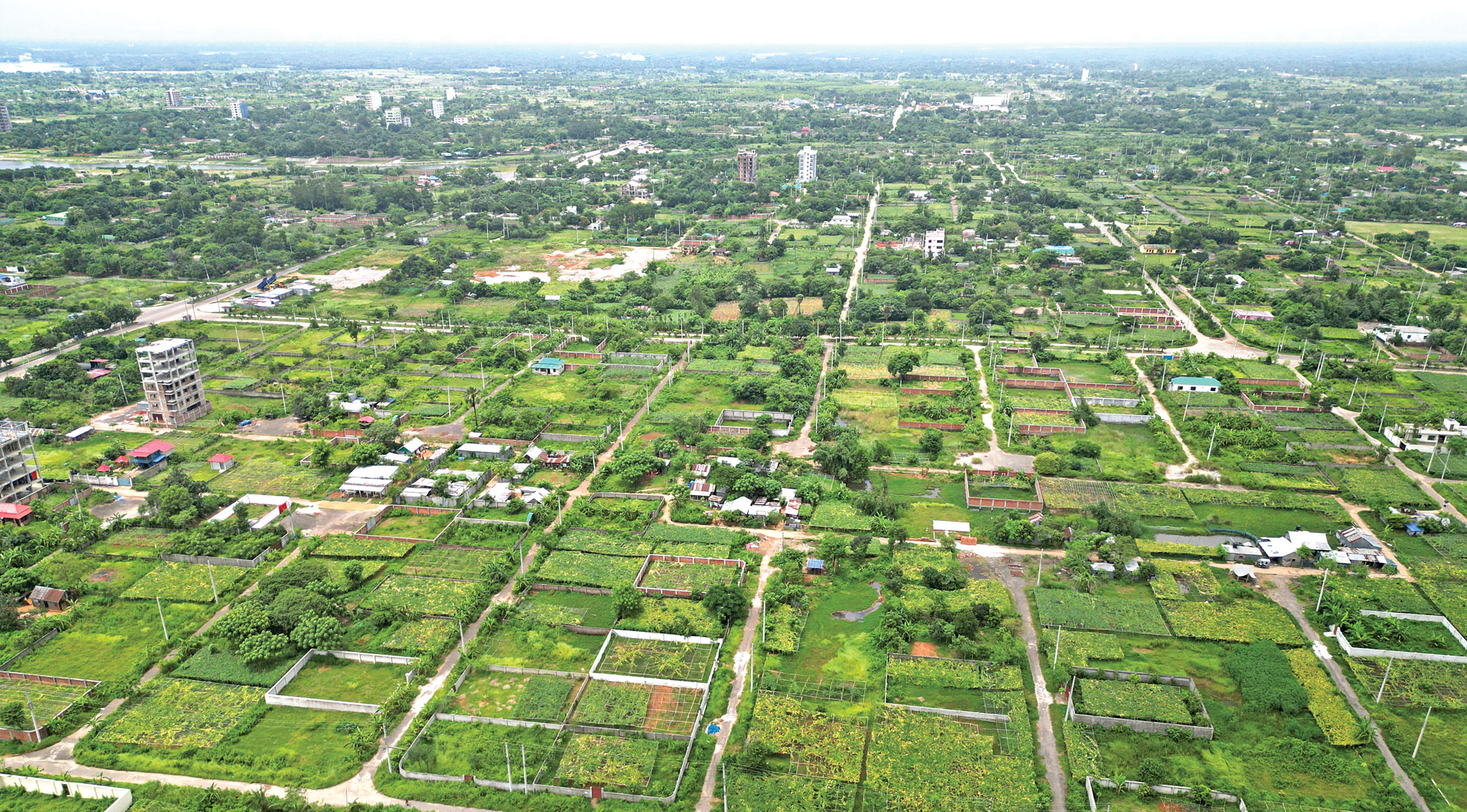bosila1.jpg