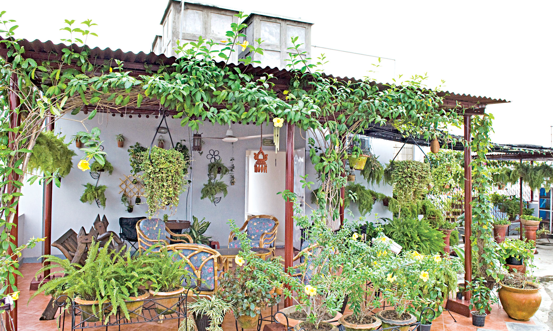 plants1.jpg