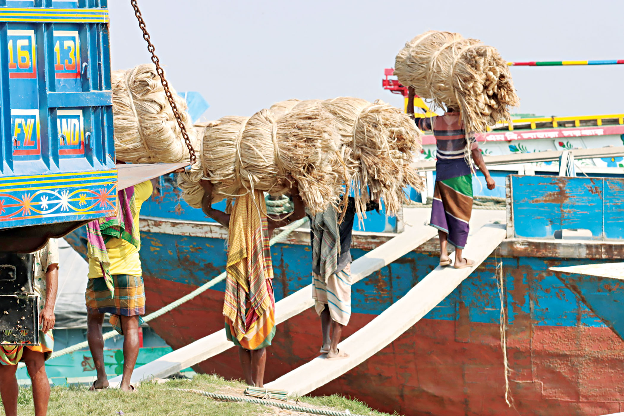 jute1.jpg