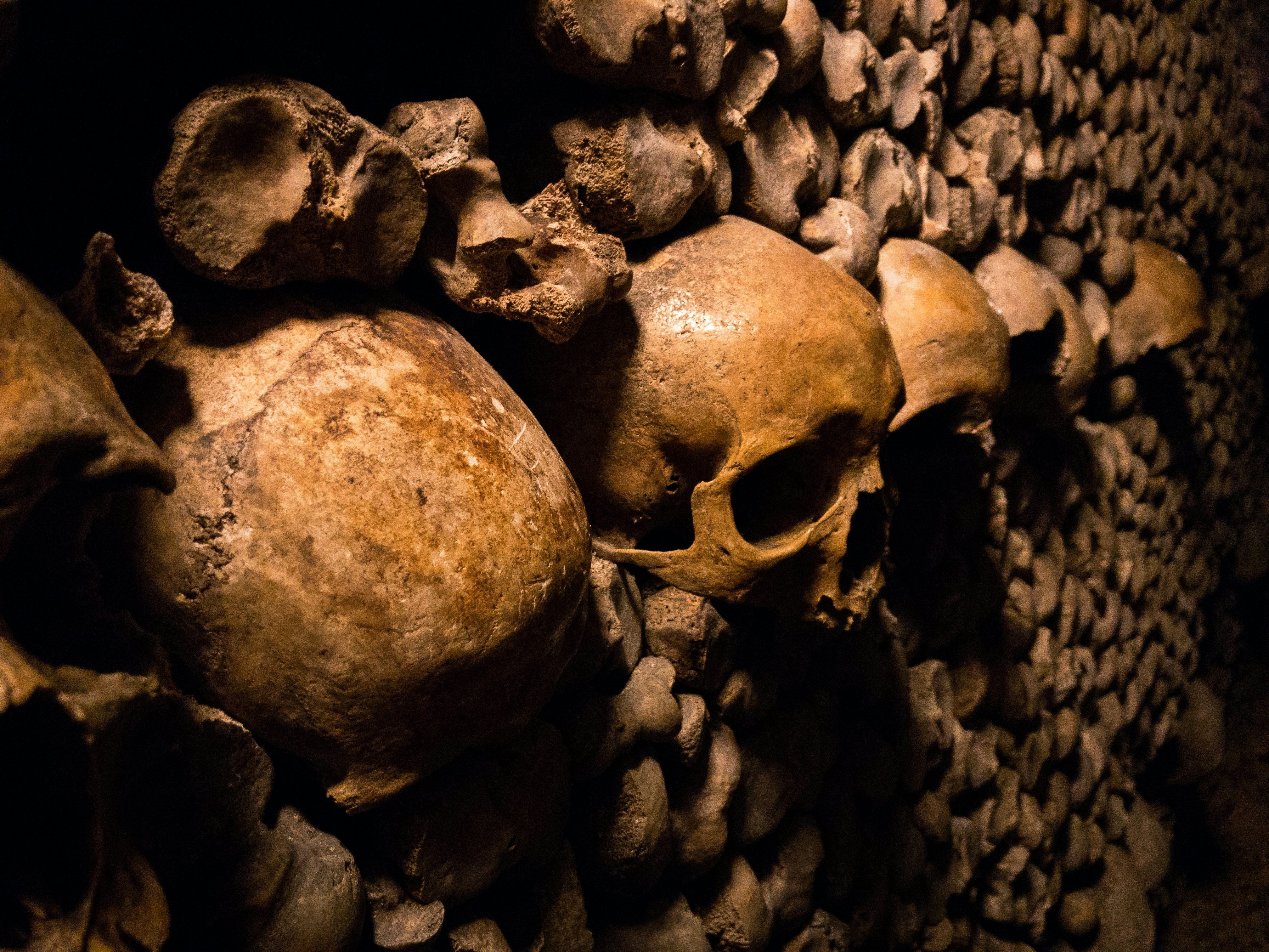 France    Seeking thrills? These 7 Halloween destinations will haunt your dreams!         travis-grossen-8rt8fr3kzt4-unsplash.jpg