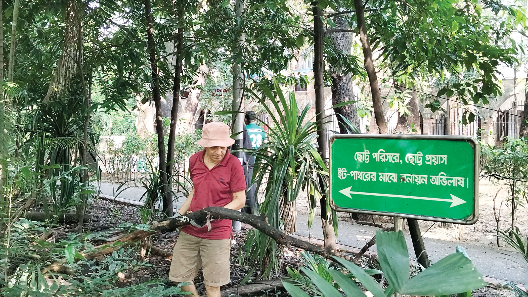 my-dhaka.jpg