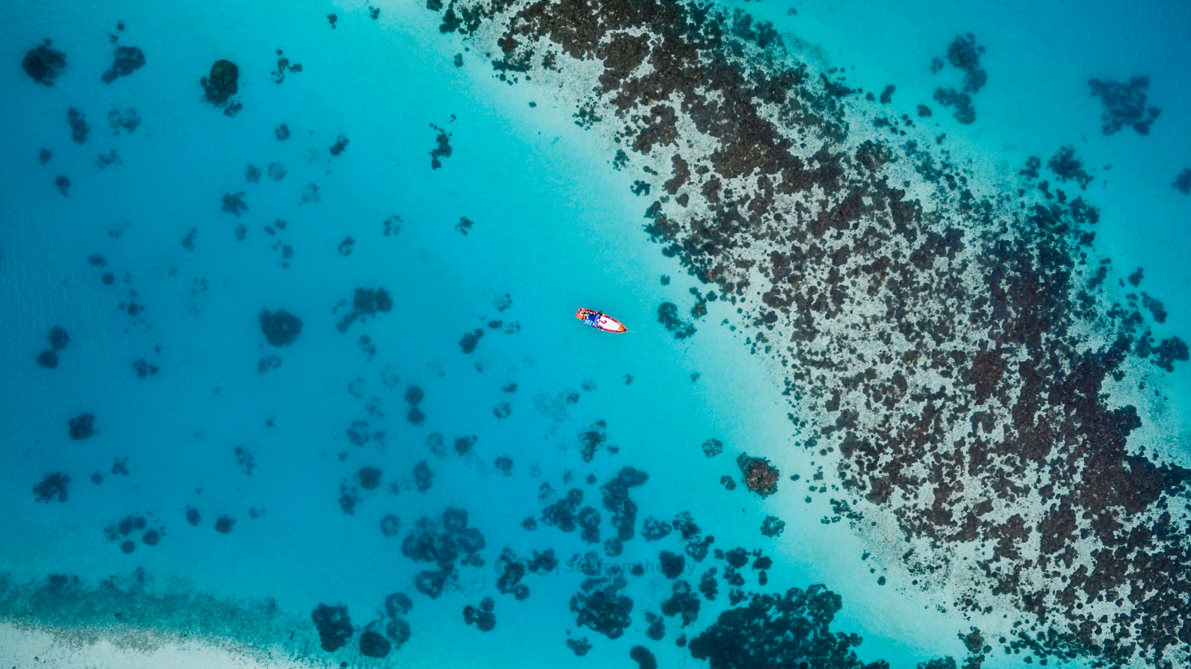 Maldives    Dreaming of coral islands? Here are 6 that might ruin your Instagram with their perfection      ishan-seefromthesky-y_ysubfqcmi-unsplash.jpg