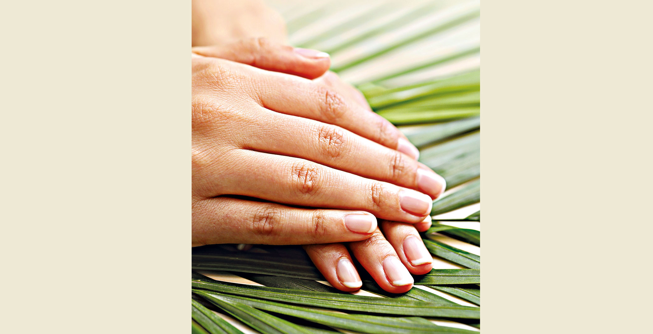 female-hands-skin-care.jpg