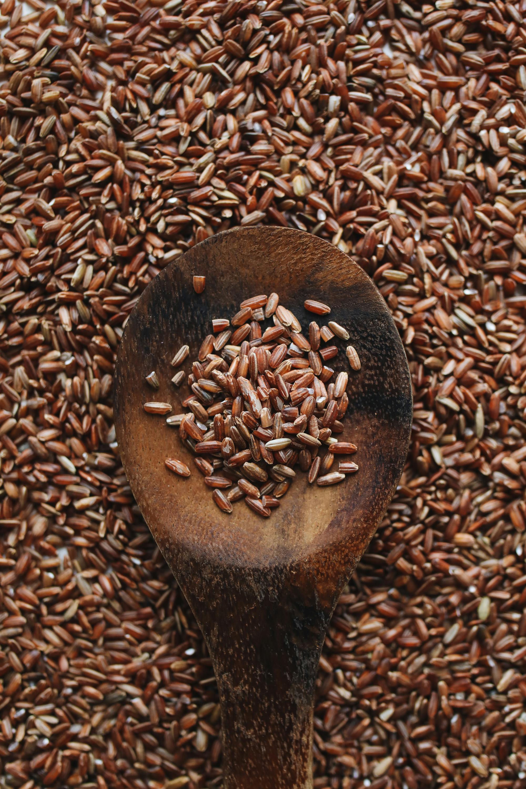 Can rice really make you fat, or are we just looking for excuses?                     pexels-polina-tankilevitch-4110253.jpg