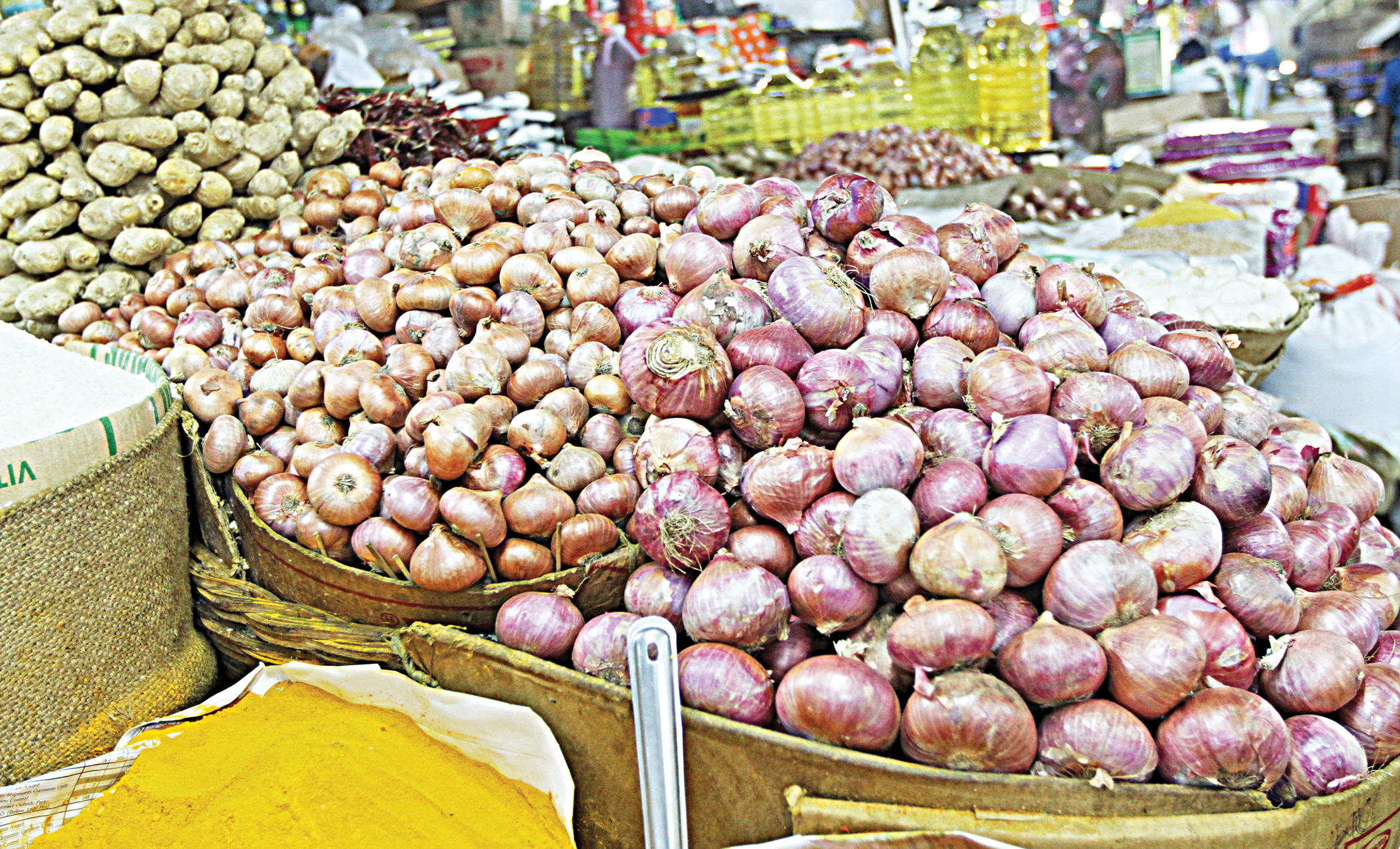 onion production cost increase