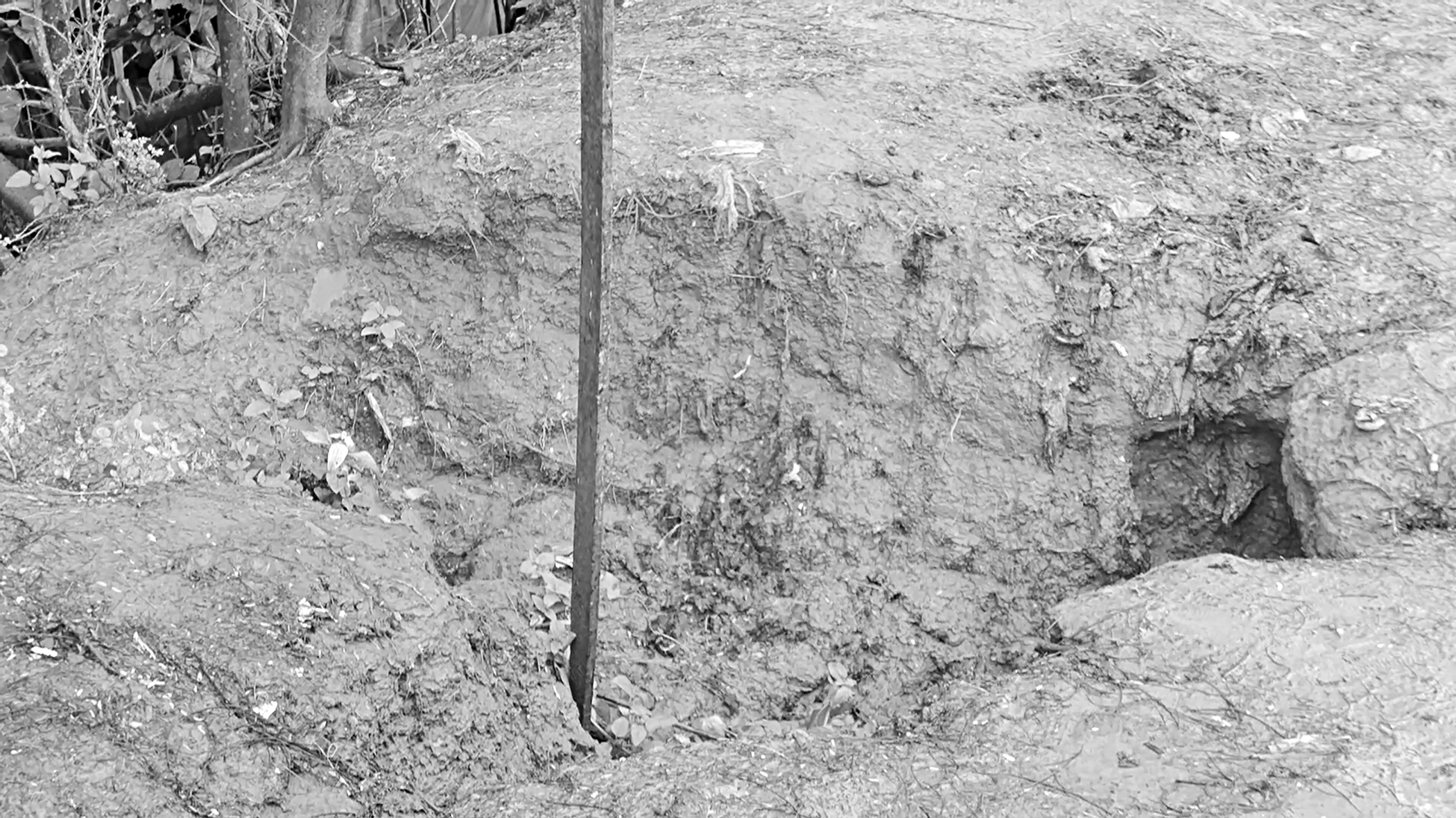 Parts of embankment damaged