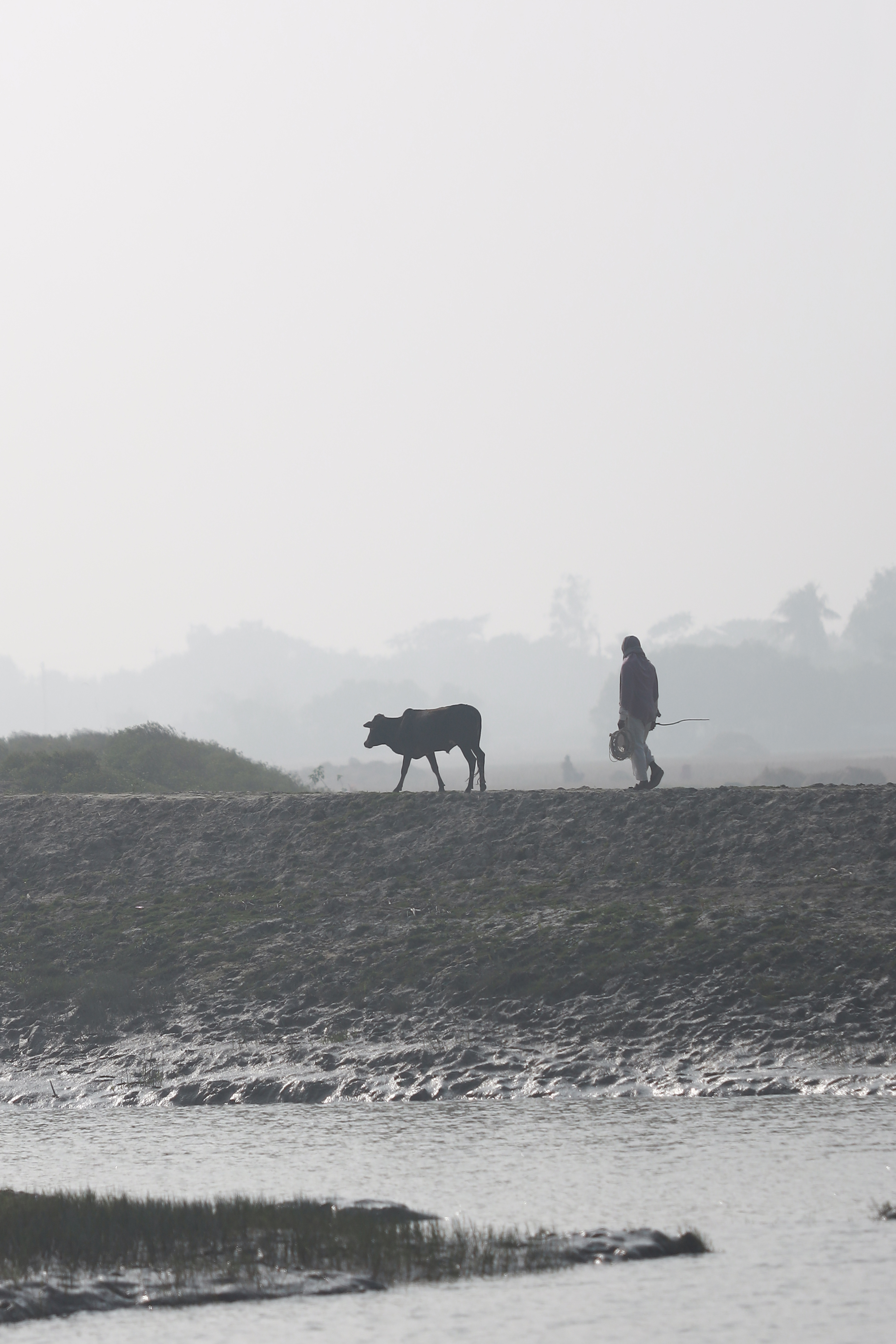 How winter is like your ex: A Dhaka memoir