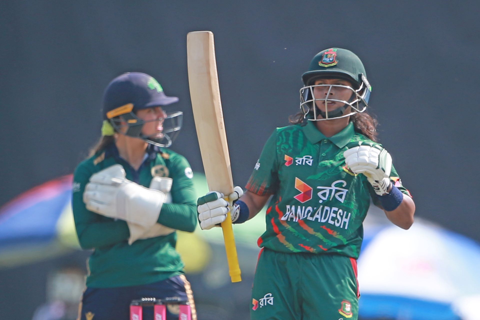 tigresses3.jpg
