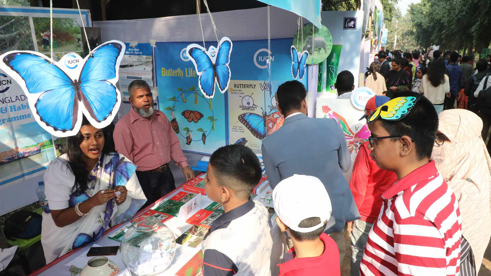 butterfly_fair_3.jpg