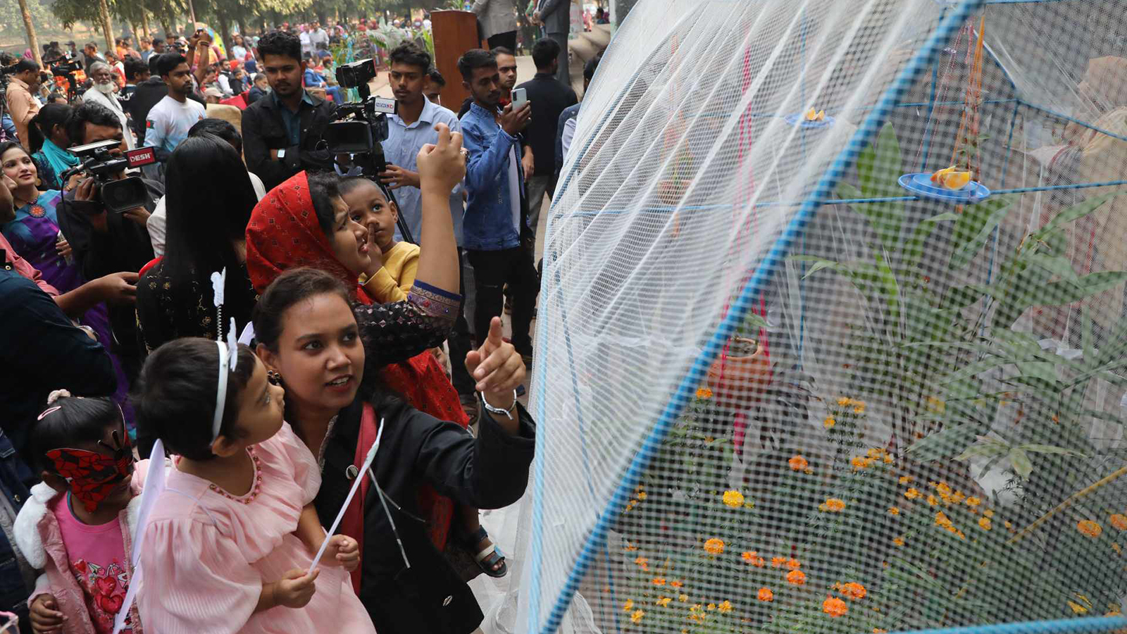 butterfly_fair_5.jpg