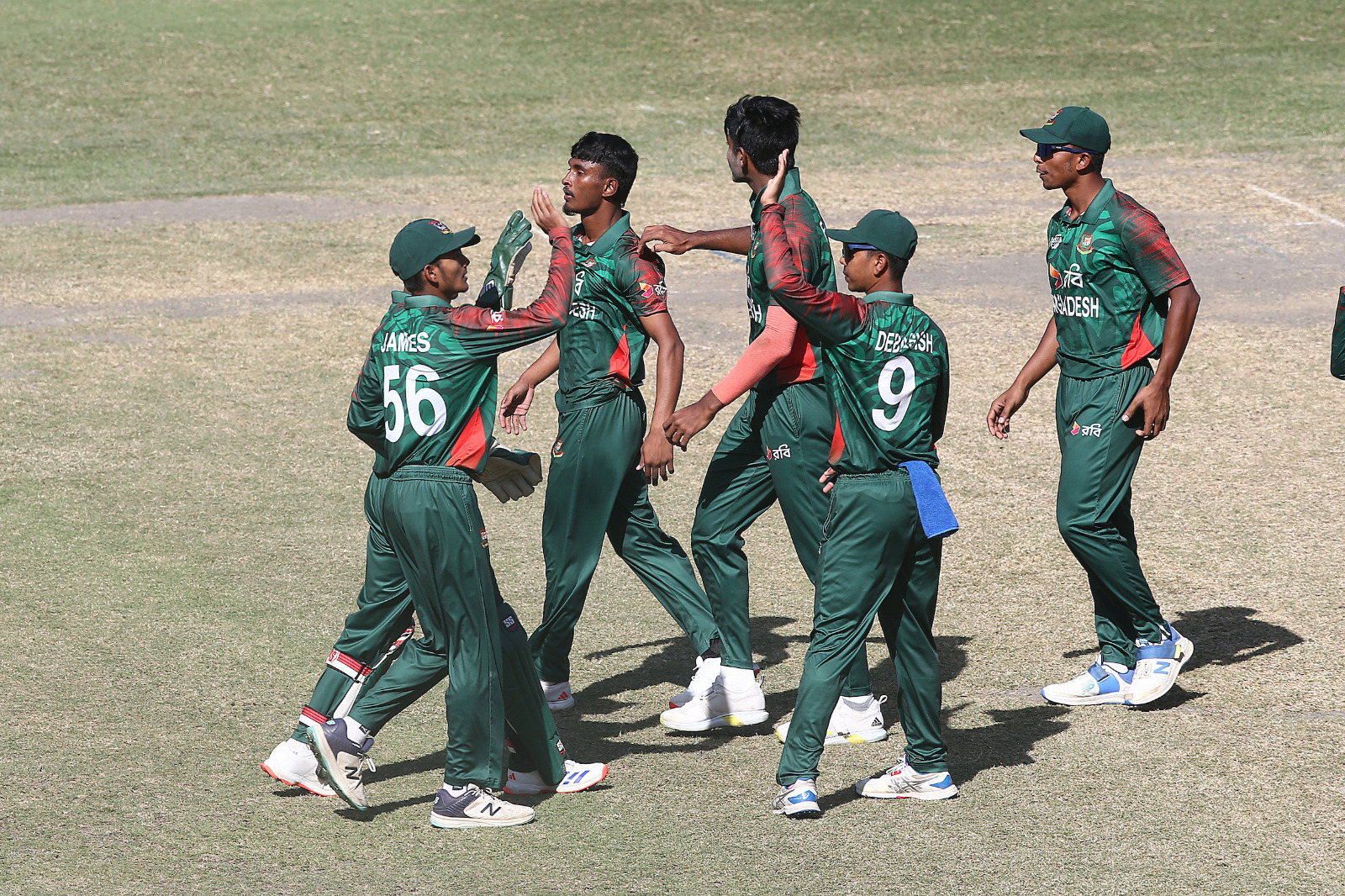 young_tigers1_0.jpg