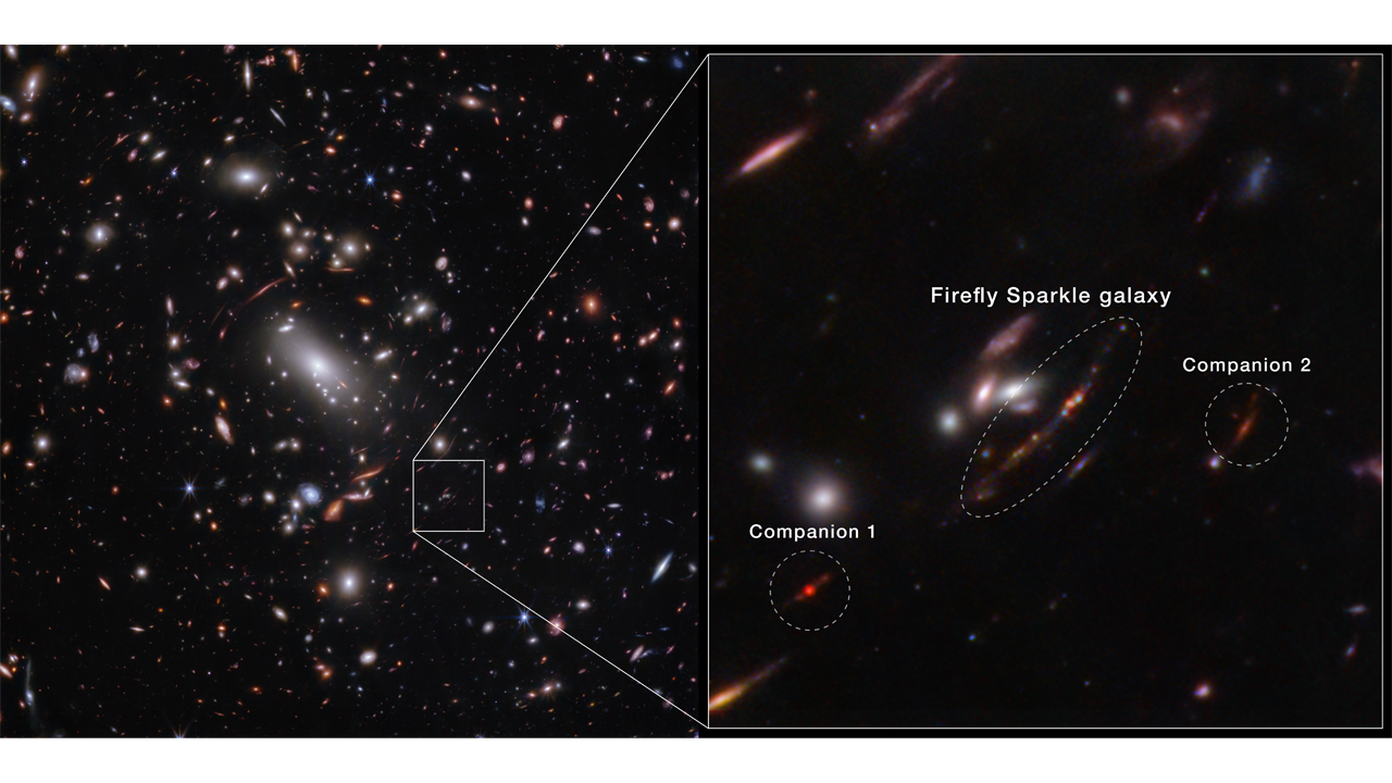 Bangladeshi researcher and team discovers young galaxy with JWST