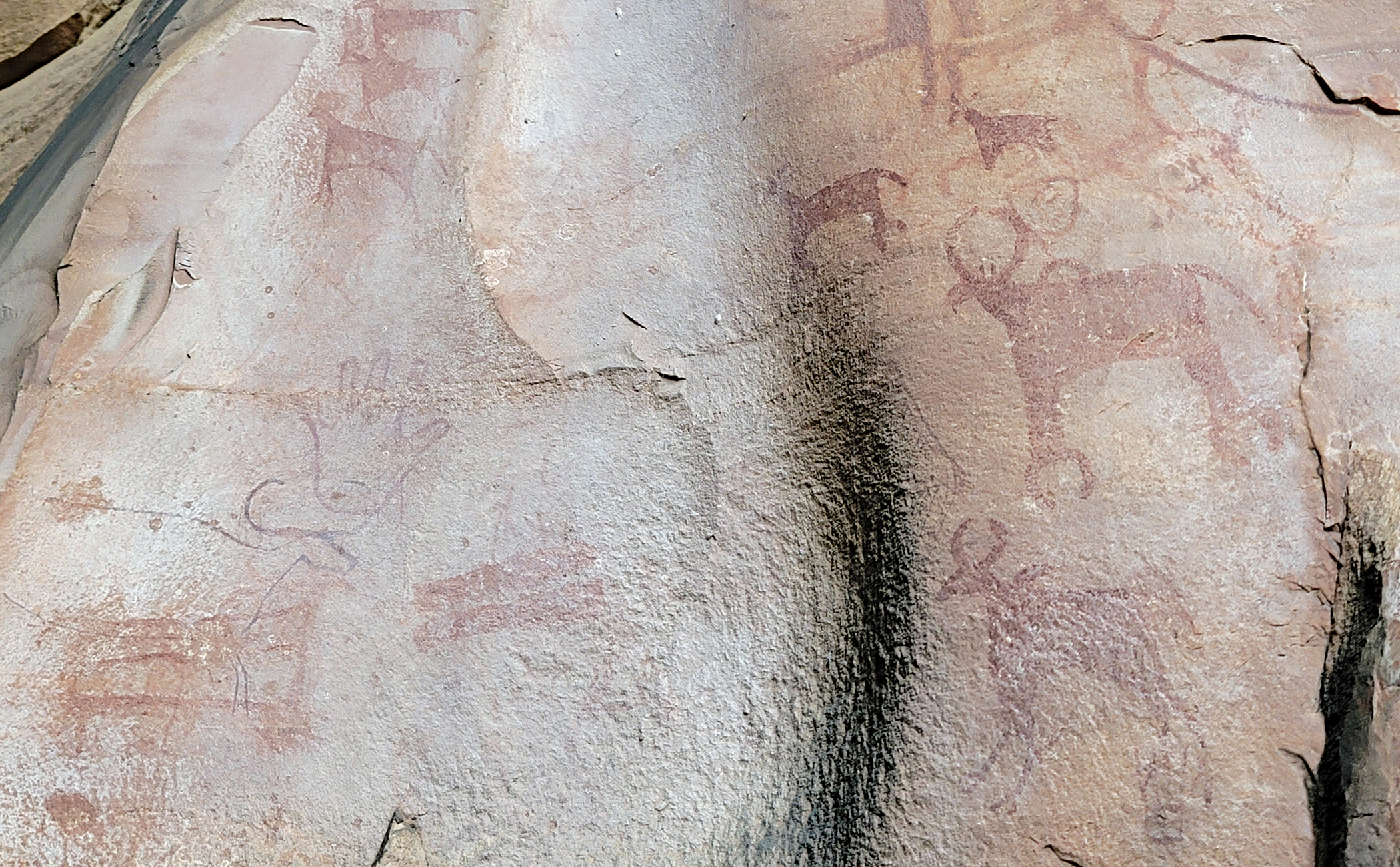 madhya-pradesh-7.jpg