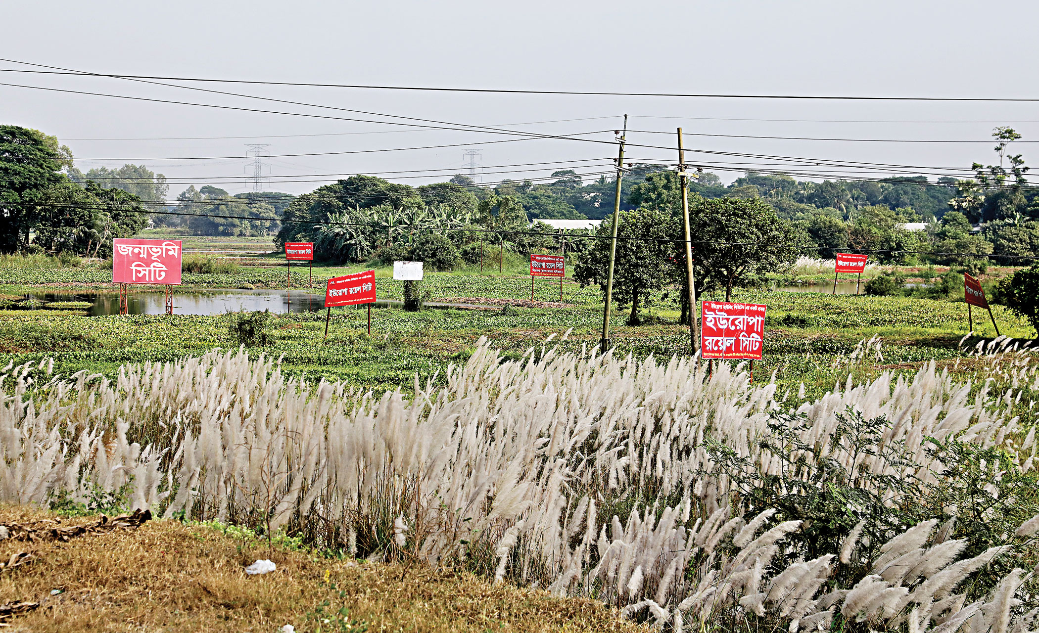 padma-bridge6.jpg