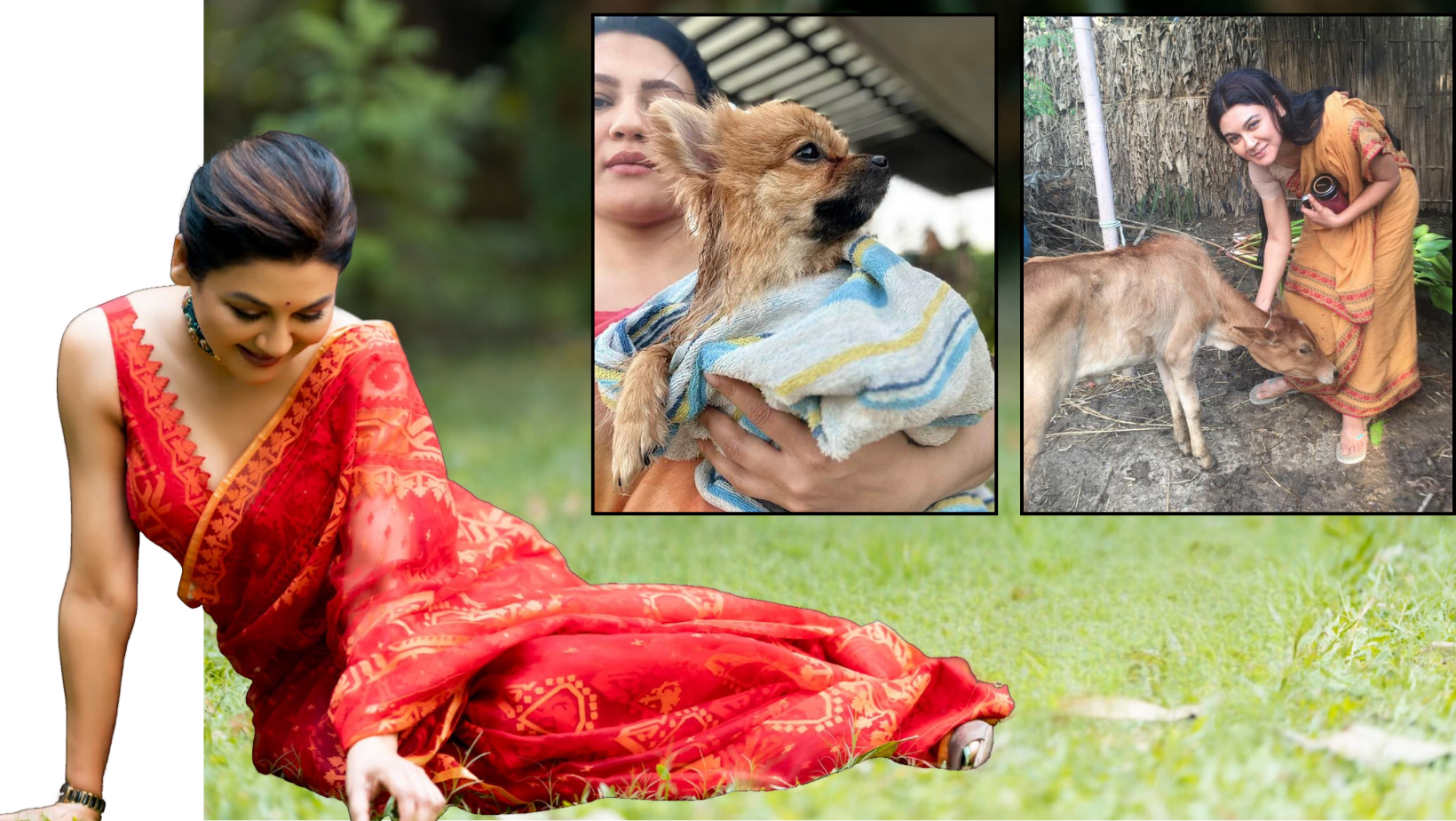 The world isn’t just for humans: Jaya Ahsan’s plea for responsible 31st celebrations