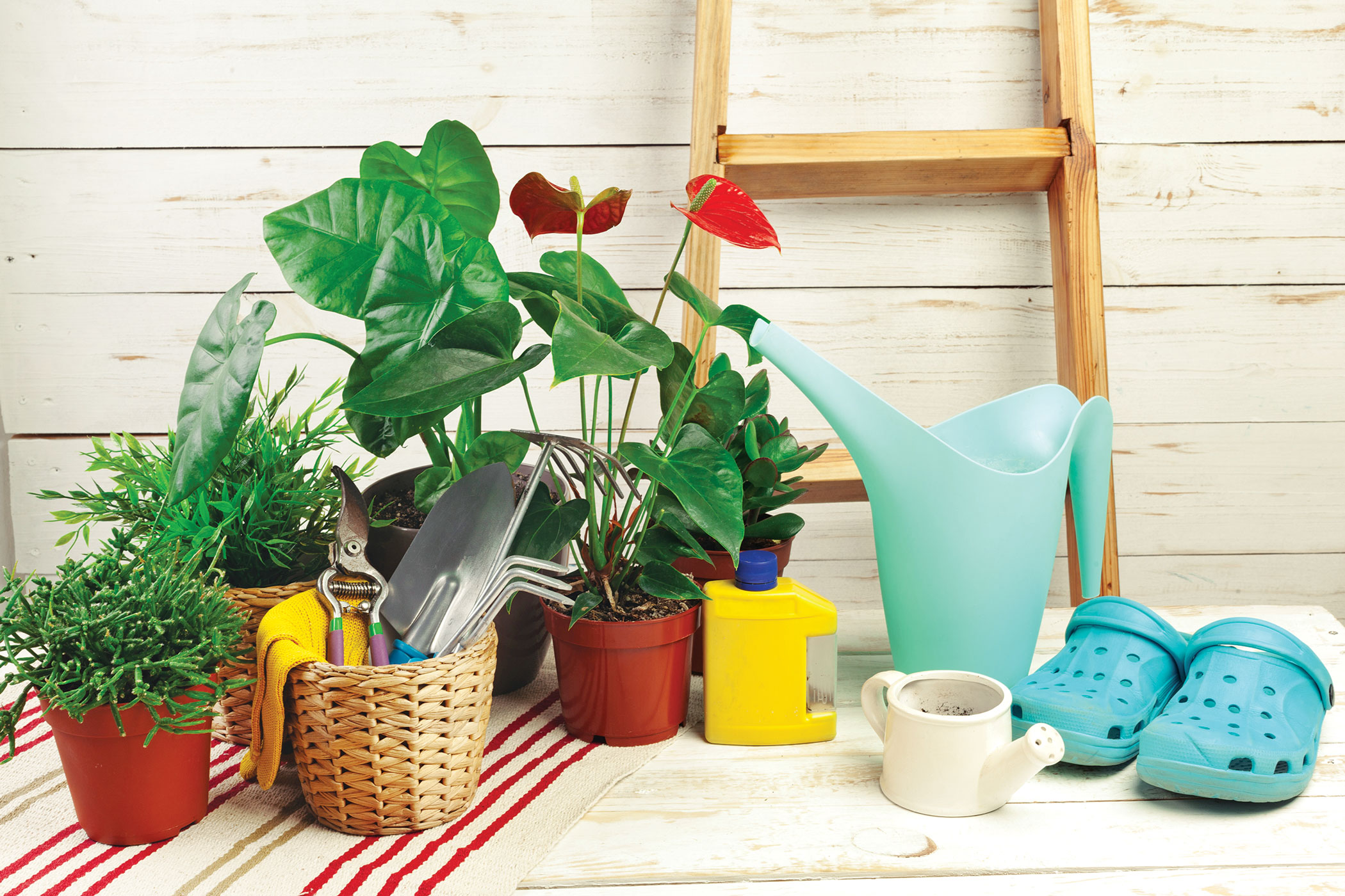 composition-garden-tools.jpg