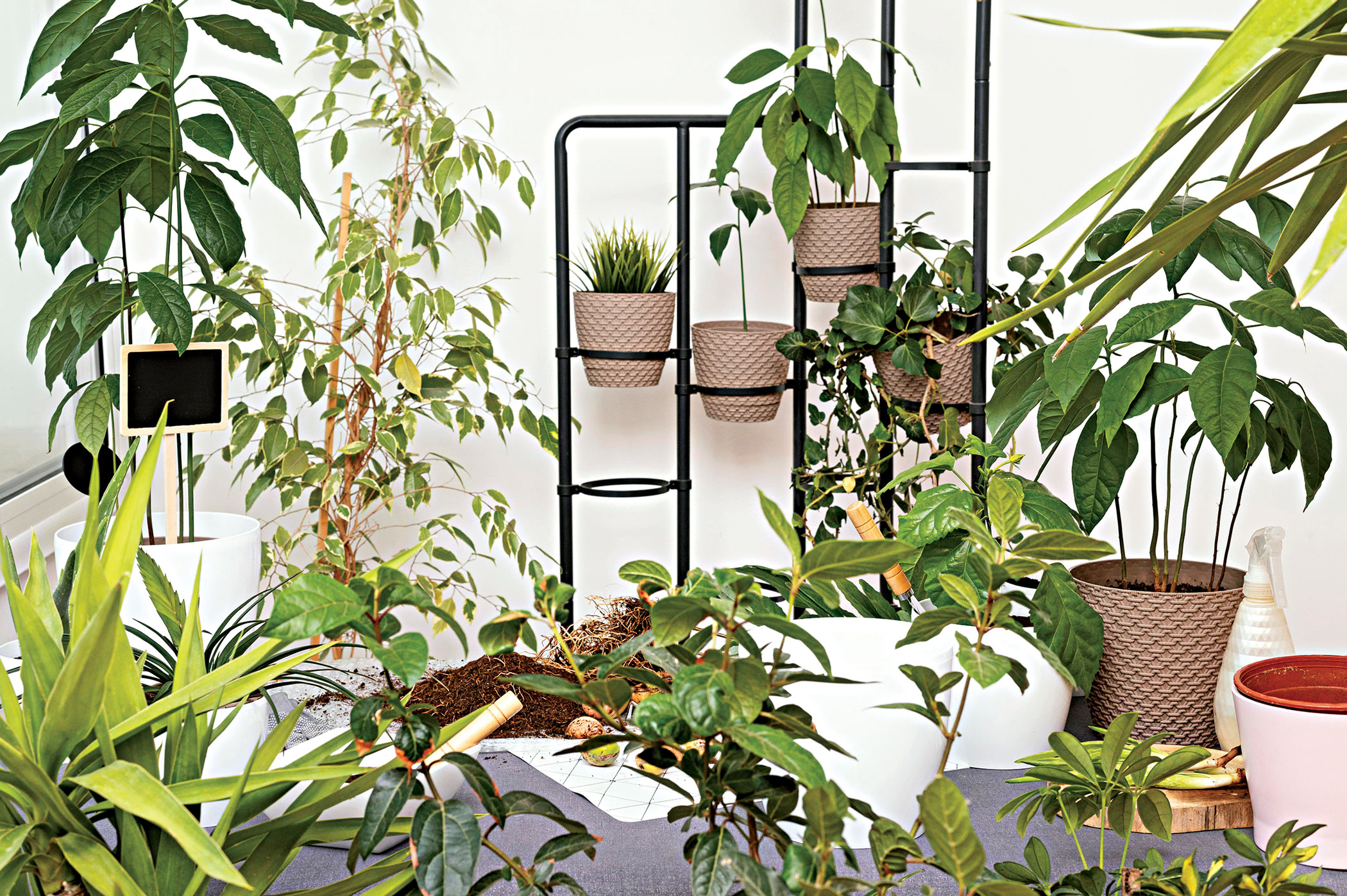 garden-home-concept.jpg