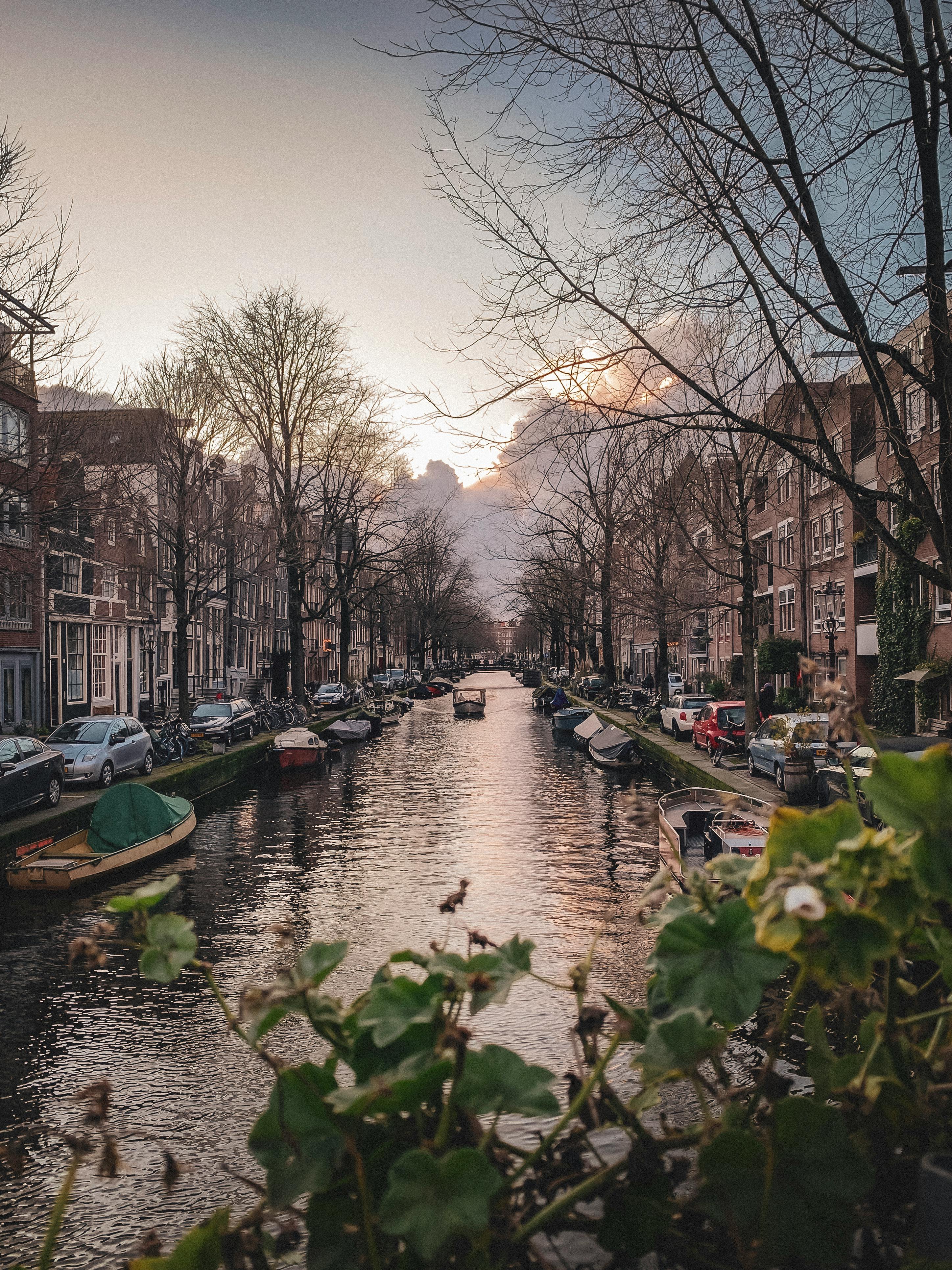 Netherlands     7 villages to visit around the world before everyone else ruins them!      pexels-vinixhc-29929456.jpg
