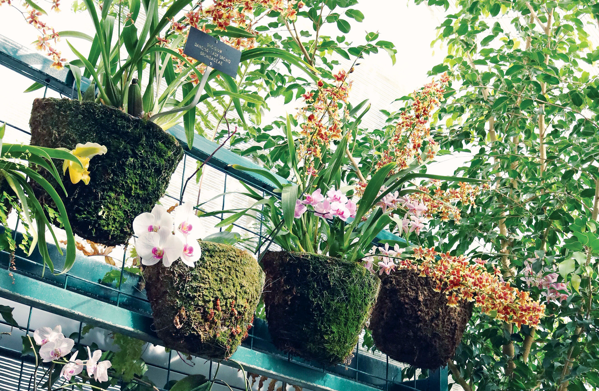 plants-1.jpg