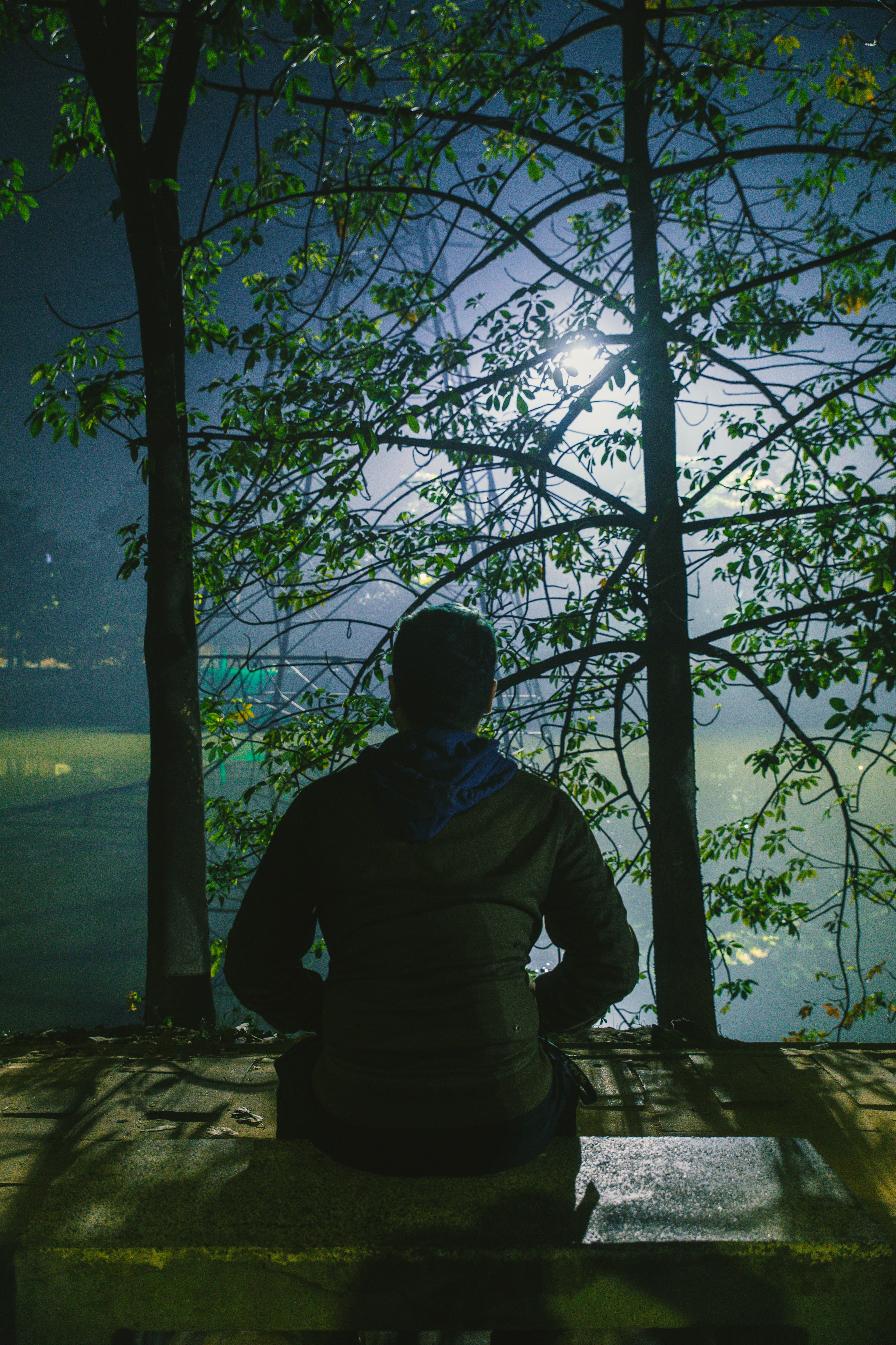 How fog creates Dhaka’s most Instagrammable season