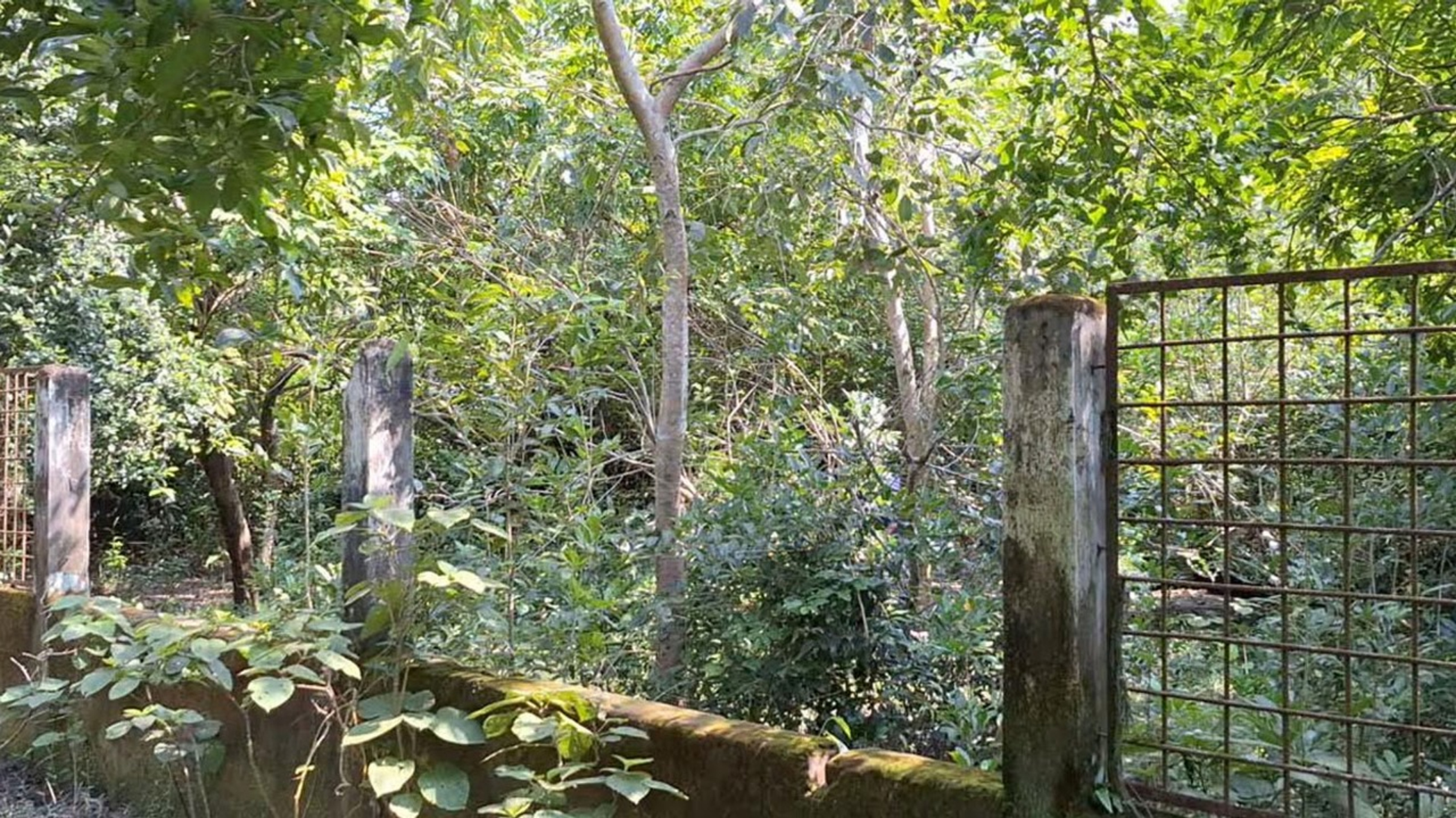 tengragiri-ecopark-2.jpg