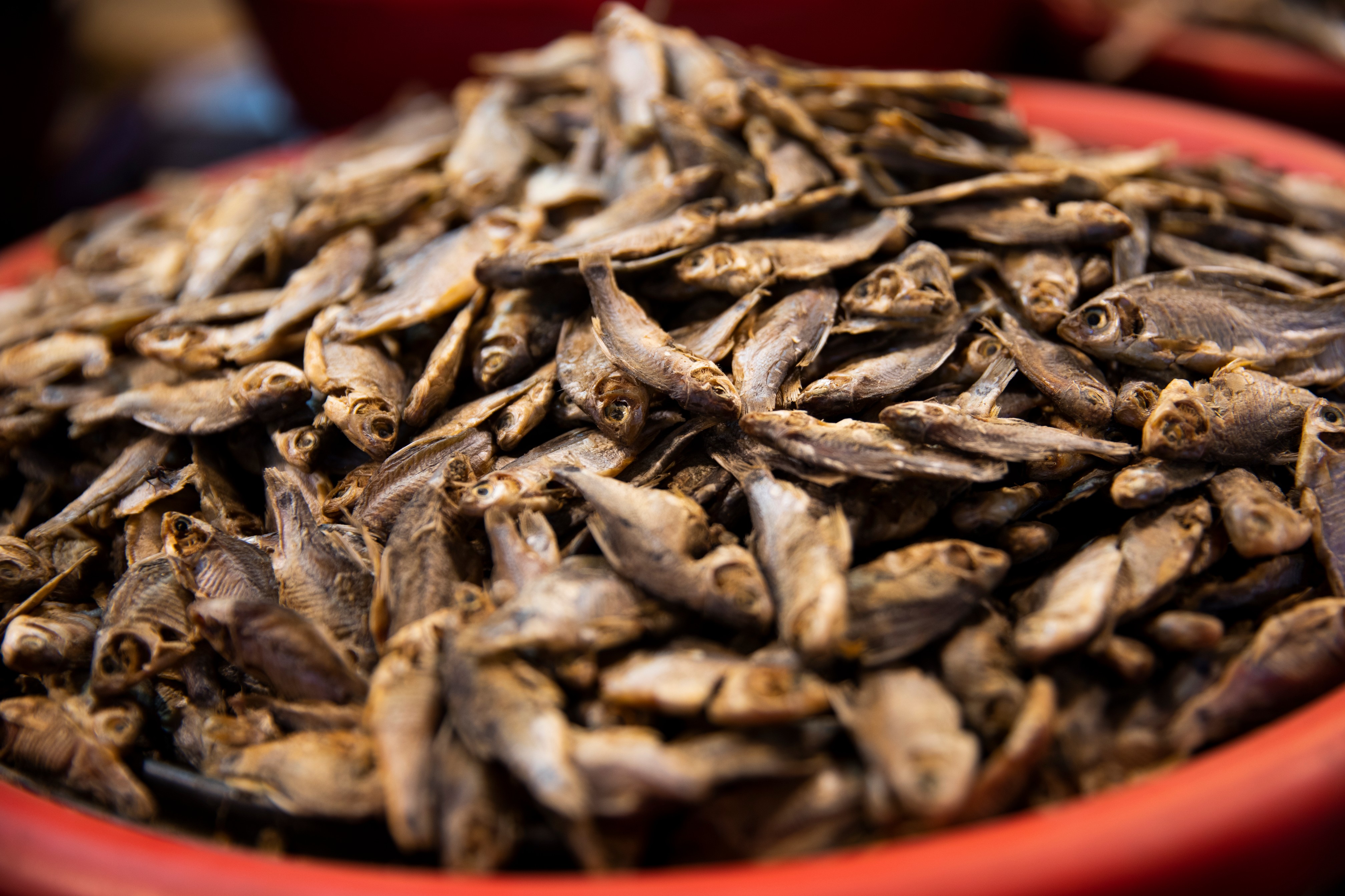 Shutki chronicles: Our love-hate affair with dried fish
