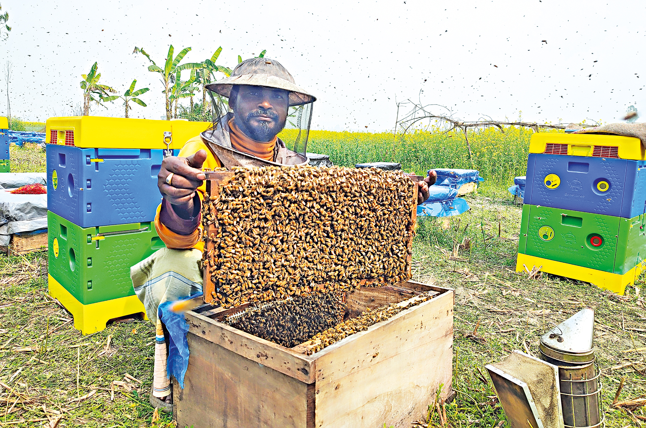 honey4.jpg