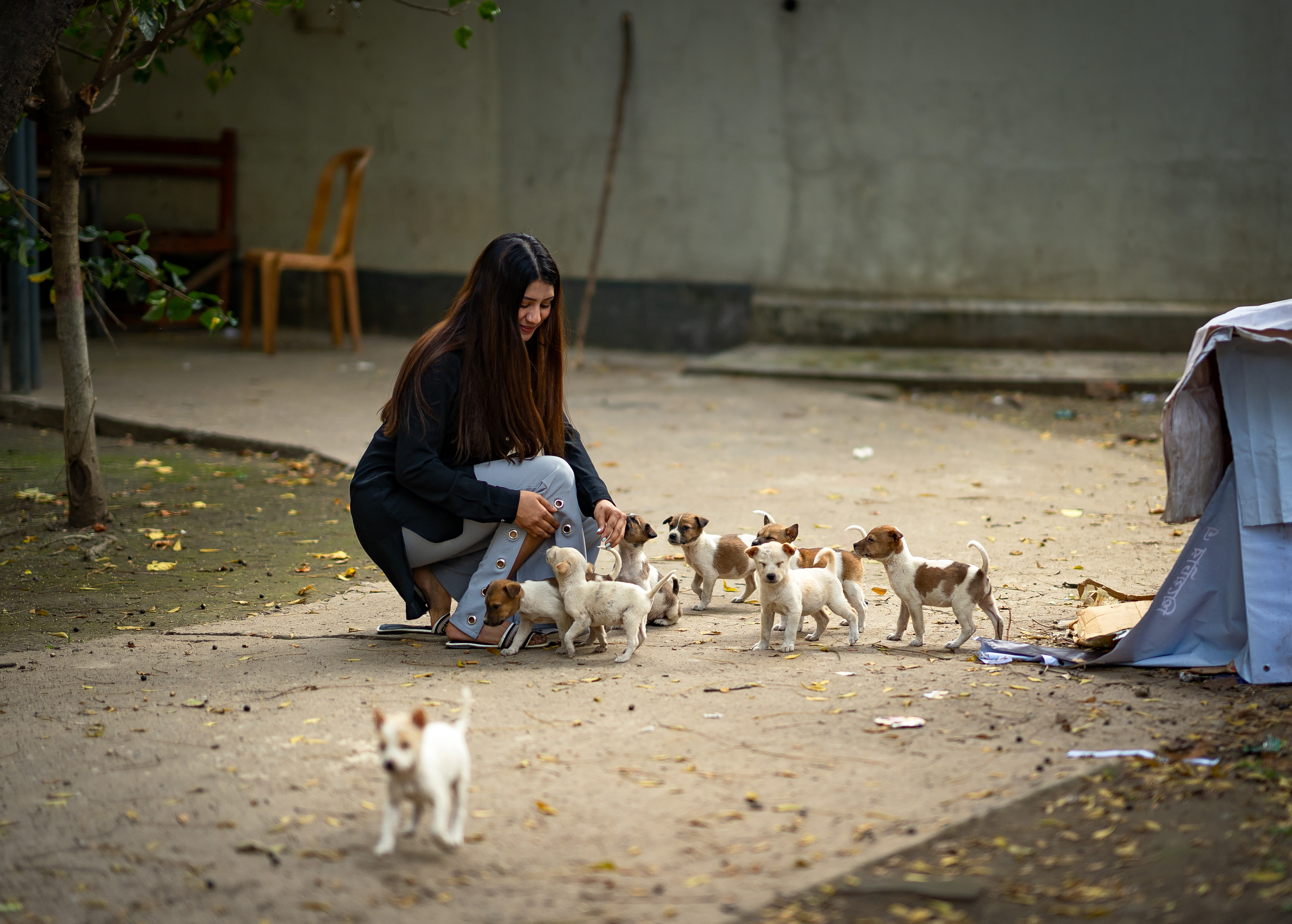 Why do we hurt helpless animals? 