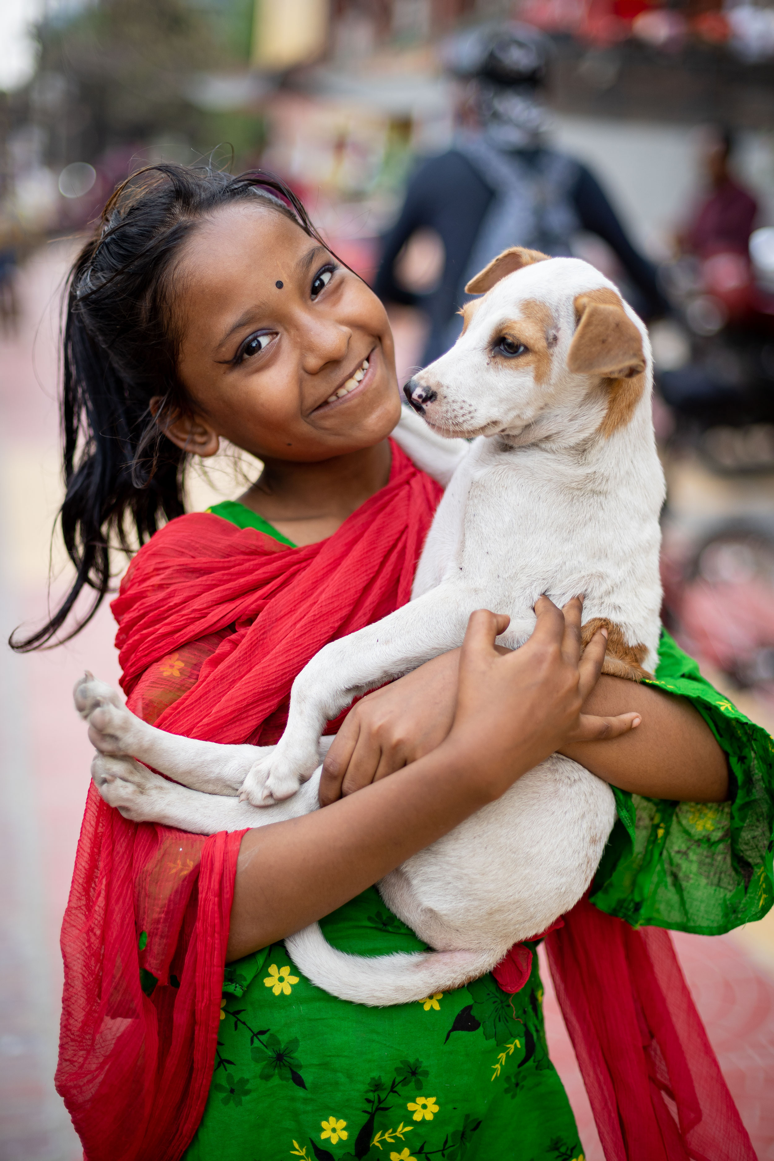 Why do we hurt helpless animals? 