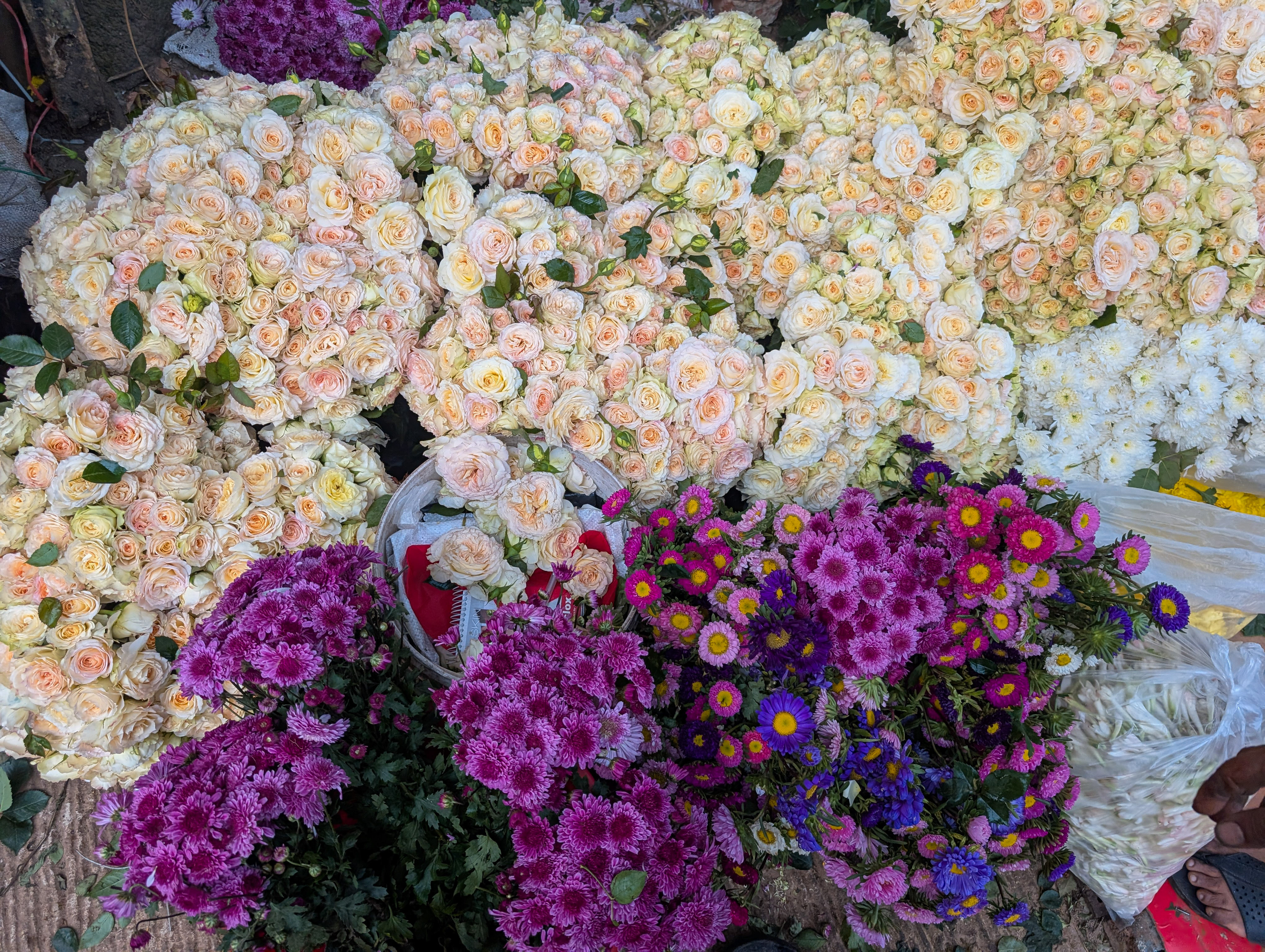 Valentine’s and Falgun shifts Dhaka's flower markets into overdrive before the city wakes