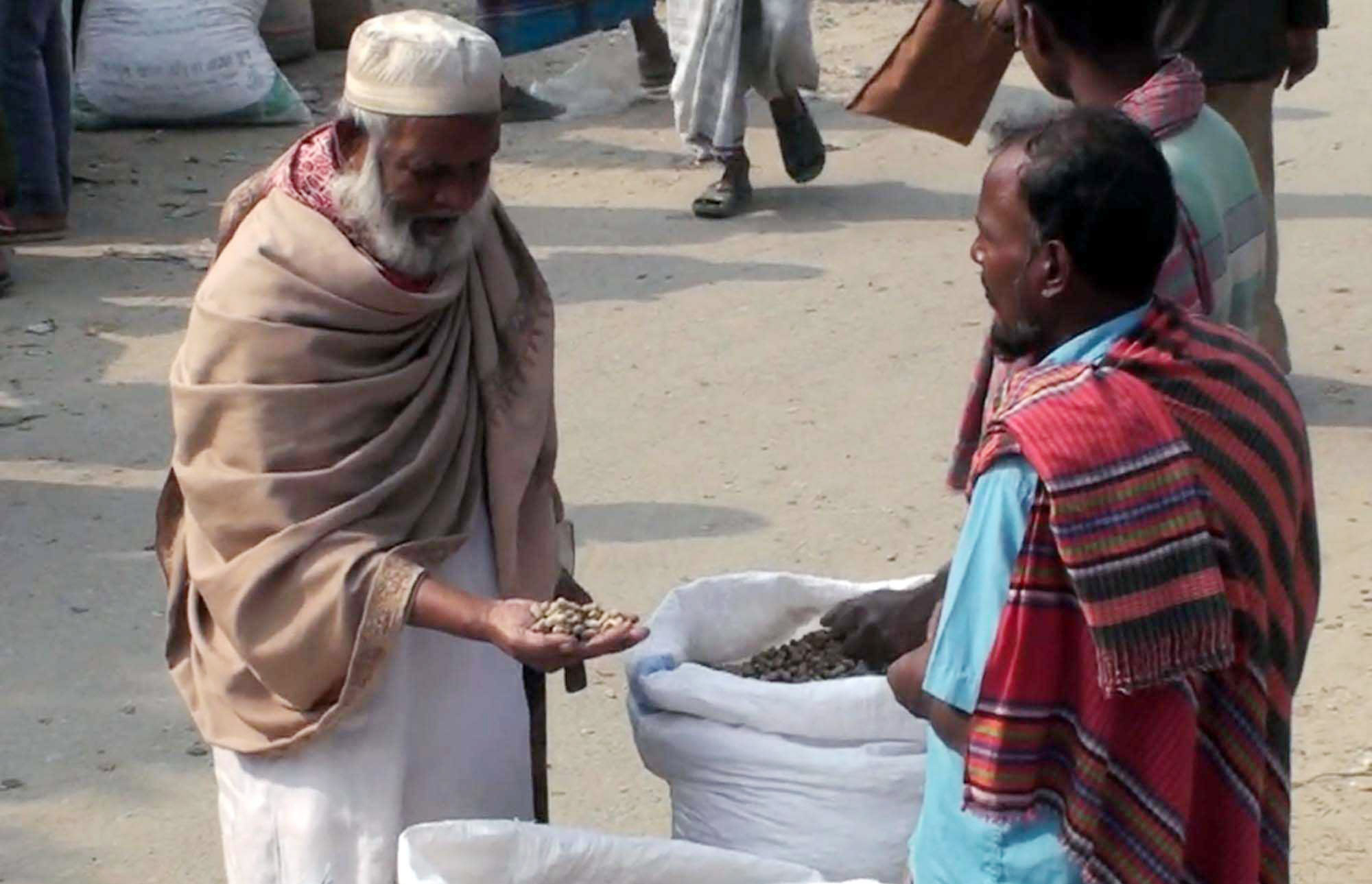 peanuts-tangail-2.jpg