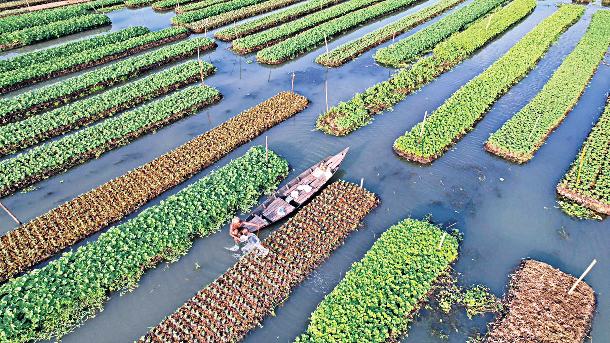green-economy-4.jpg