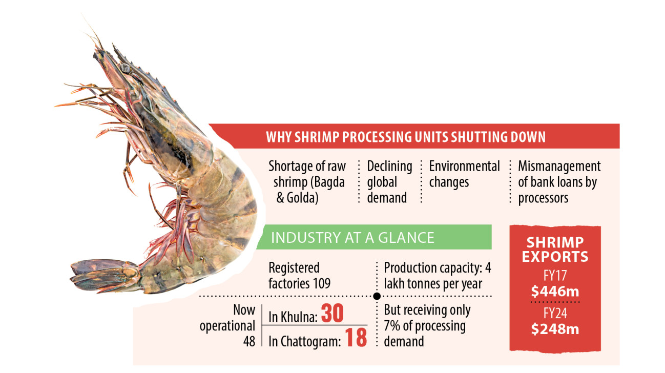 shrimp-processing-industry.jpg