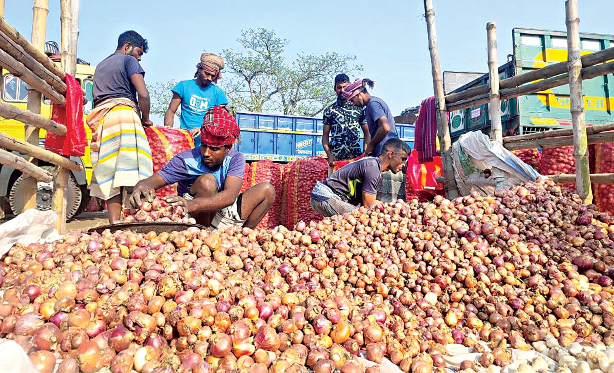 onion-farmers-2.jpg