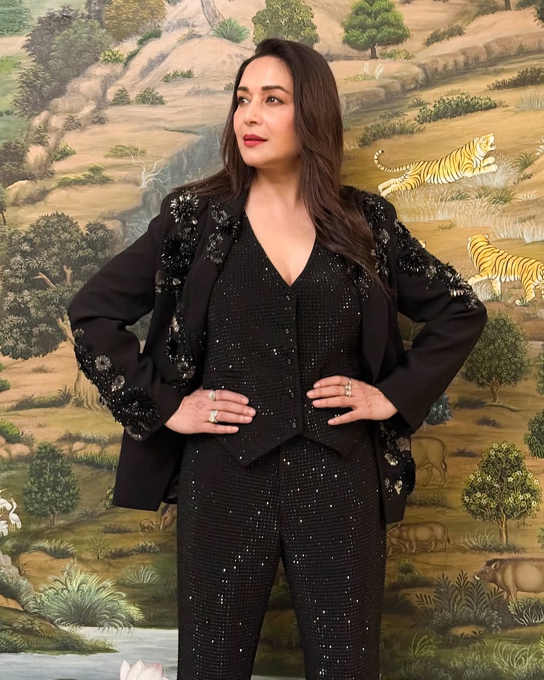 Madhuri Dixit.jpg