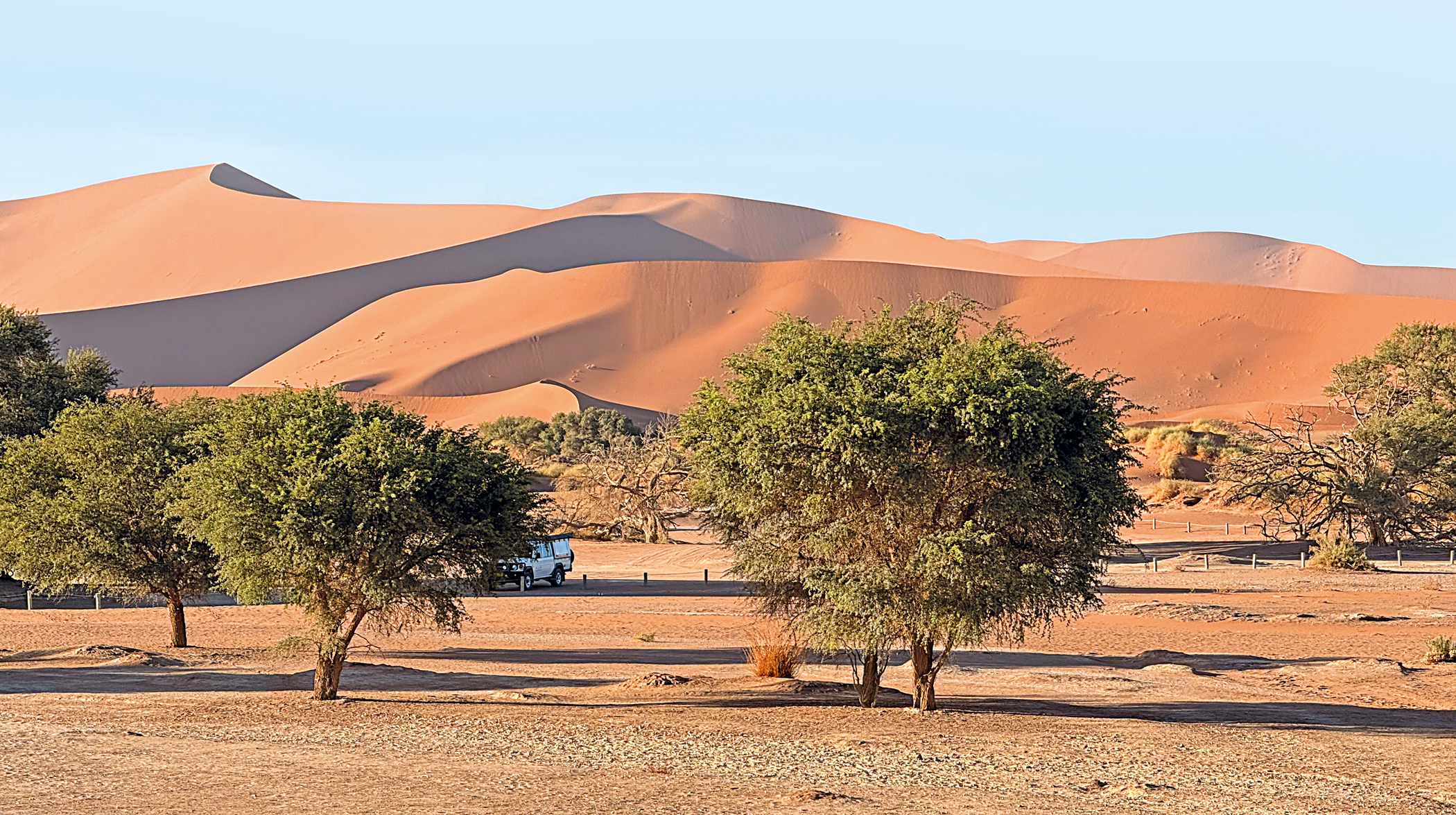 himba4.jpg