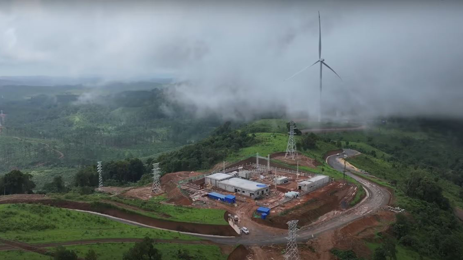 china-_laos_plant.jpg