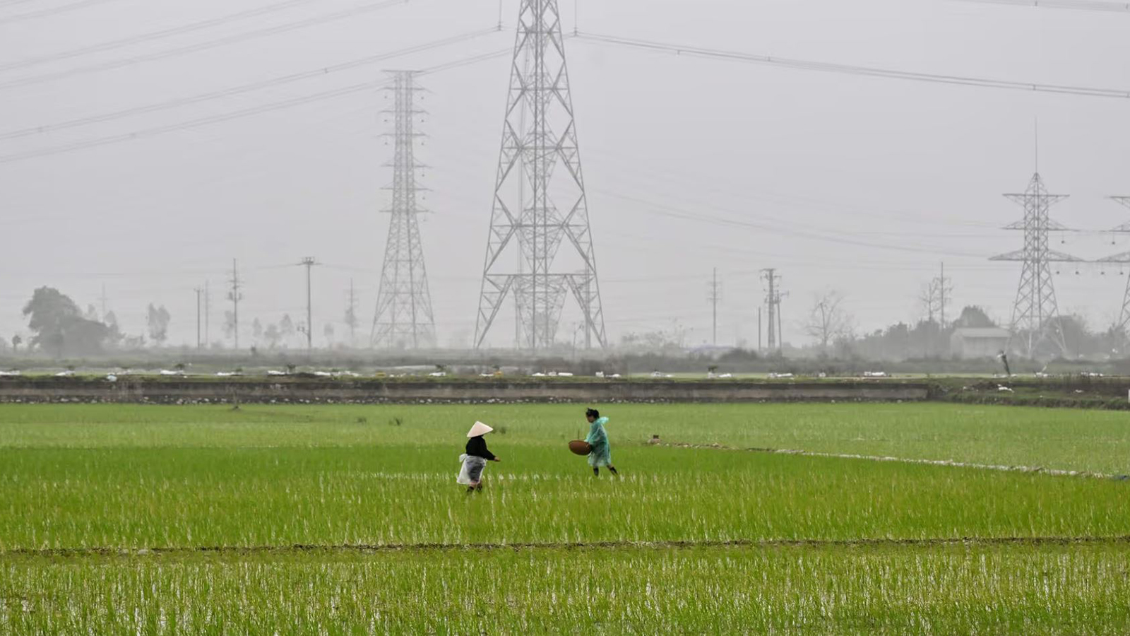 china_-_vietnam_farmers.jpg